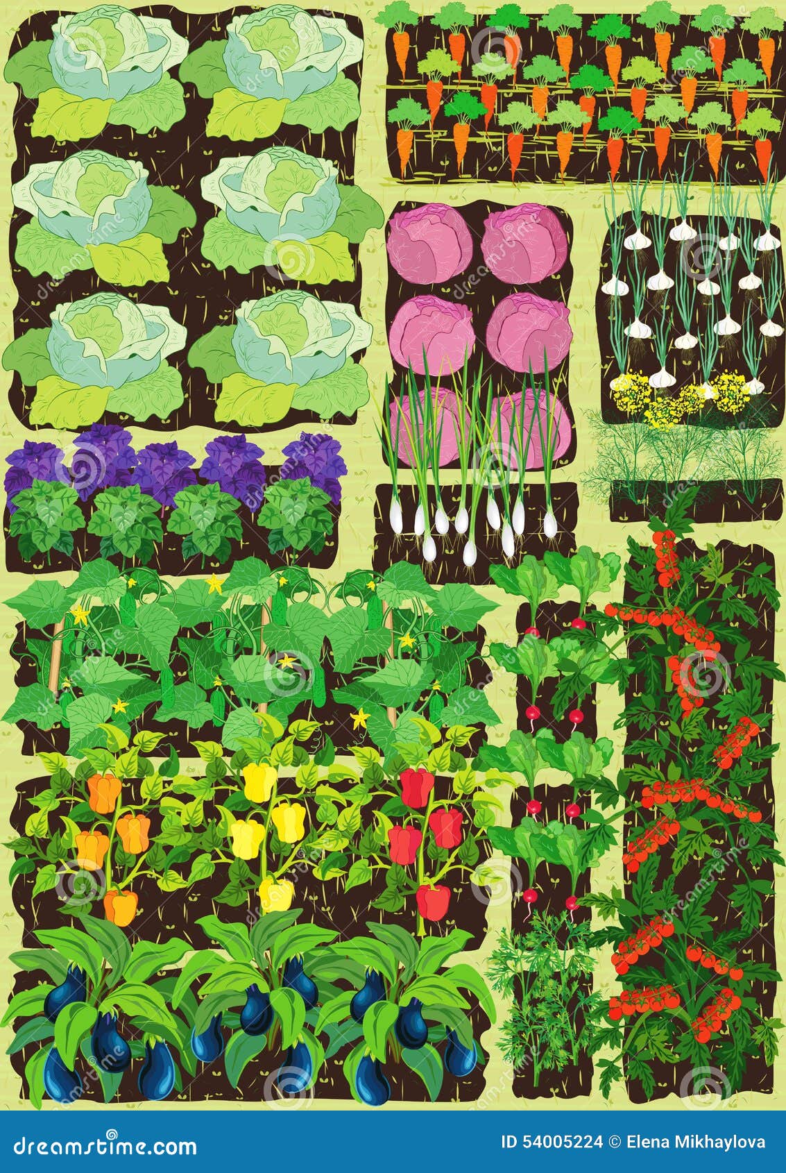 Vegetable Garden Outline Stock Illustrations – 21,024 Vegetable Garden  Outline Stock Illustrations, Vectors & Clipart - Dreamstime