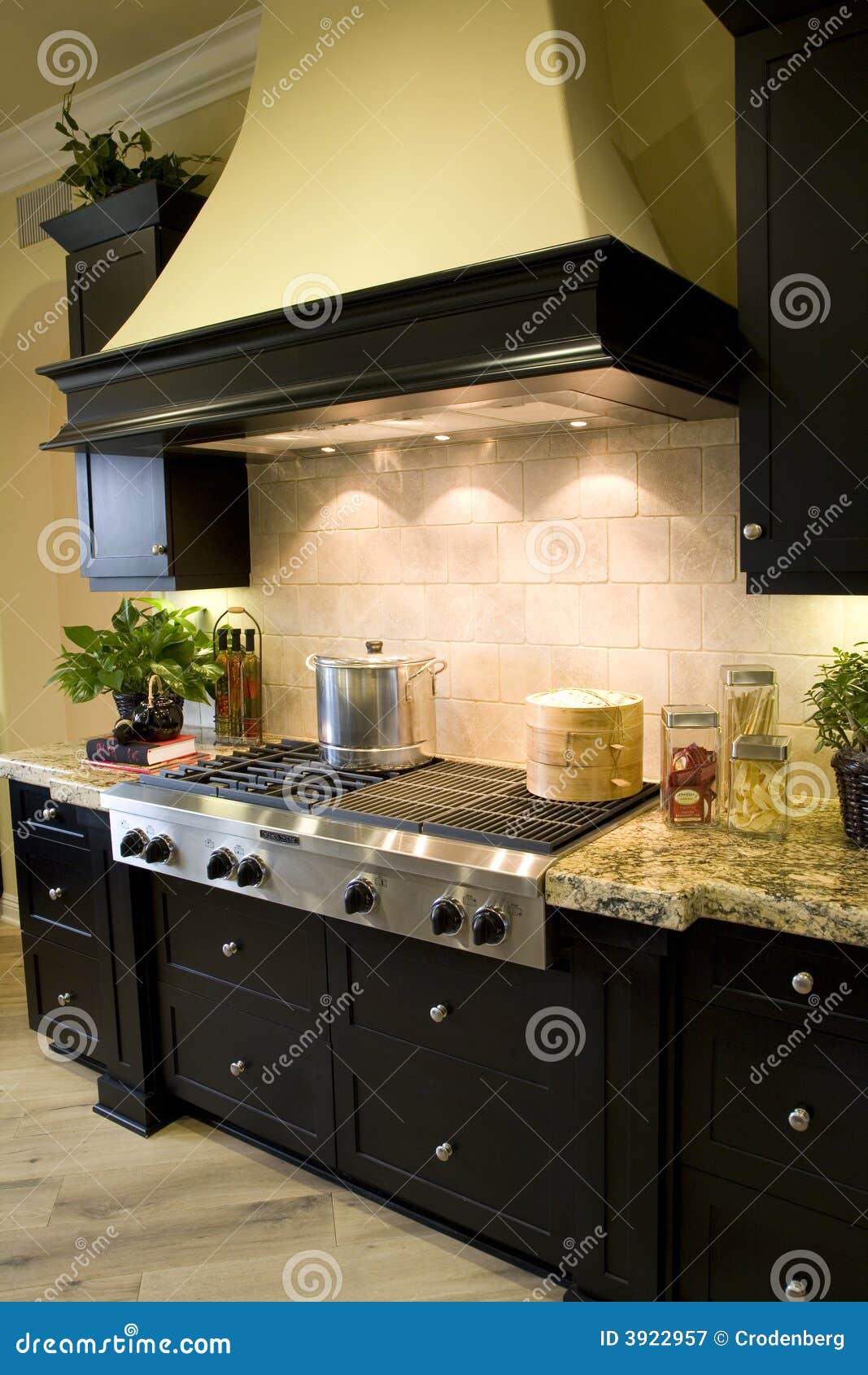 Kitchen stove 2696 stock image. Image of steel, oven, luxury 3922957