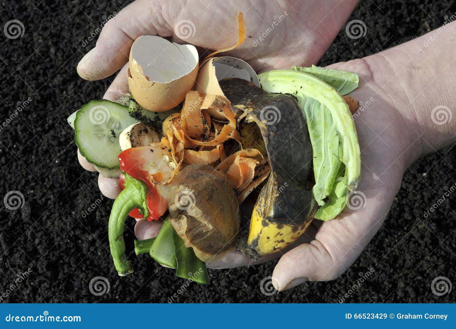 Kitchen Waste Stock Image Image Of Composting Sustainable 66523429