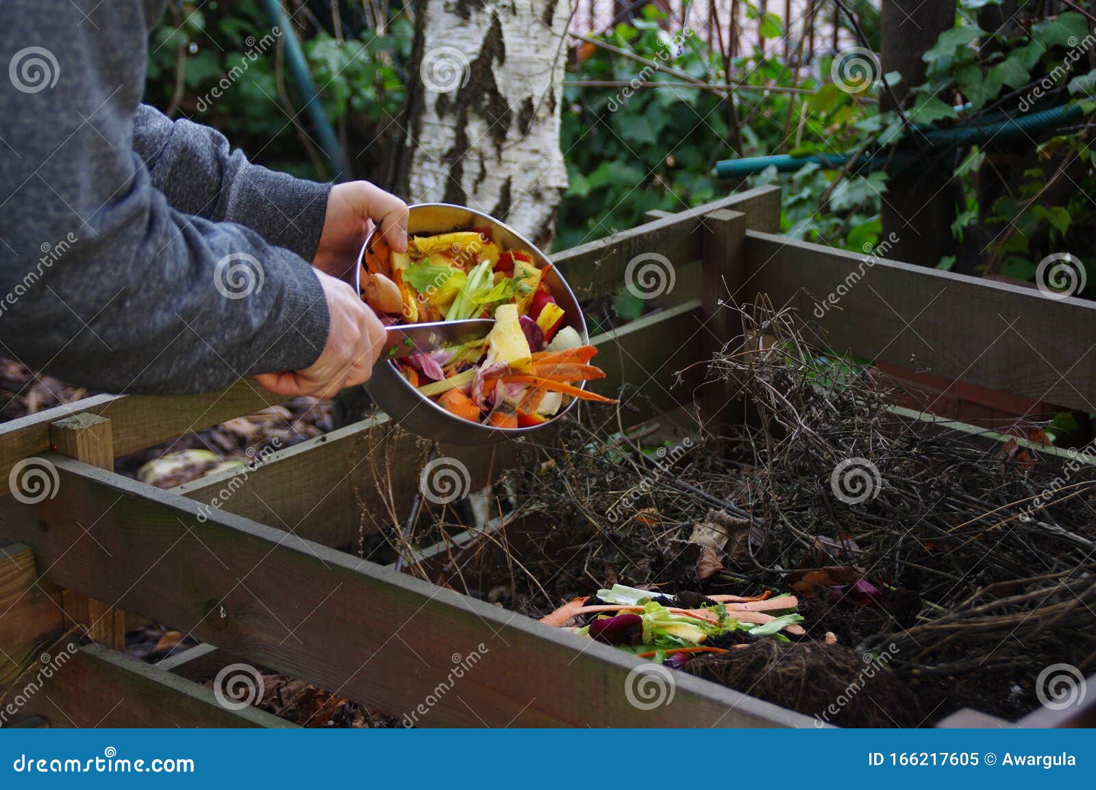Kitchen Waste Recycling in Composter Stock Image Image of friendly, composting 166217605