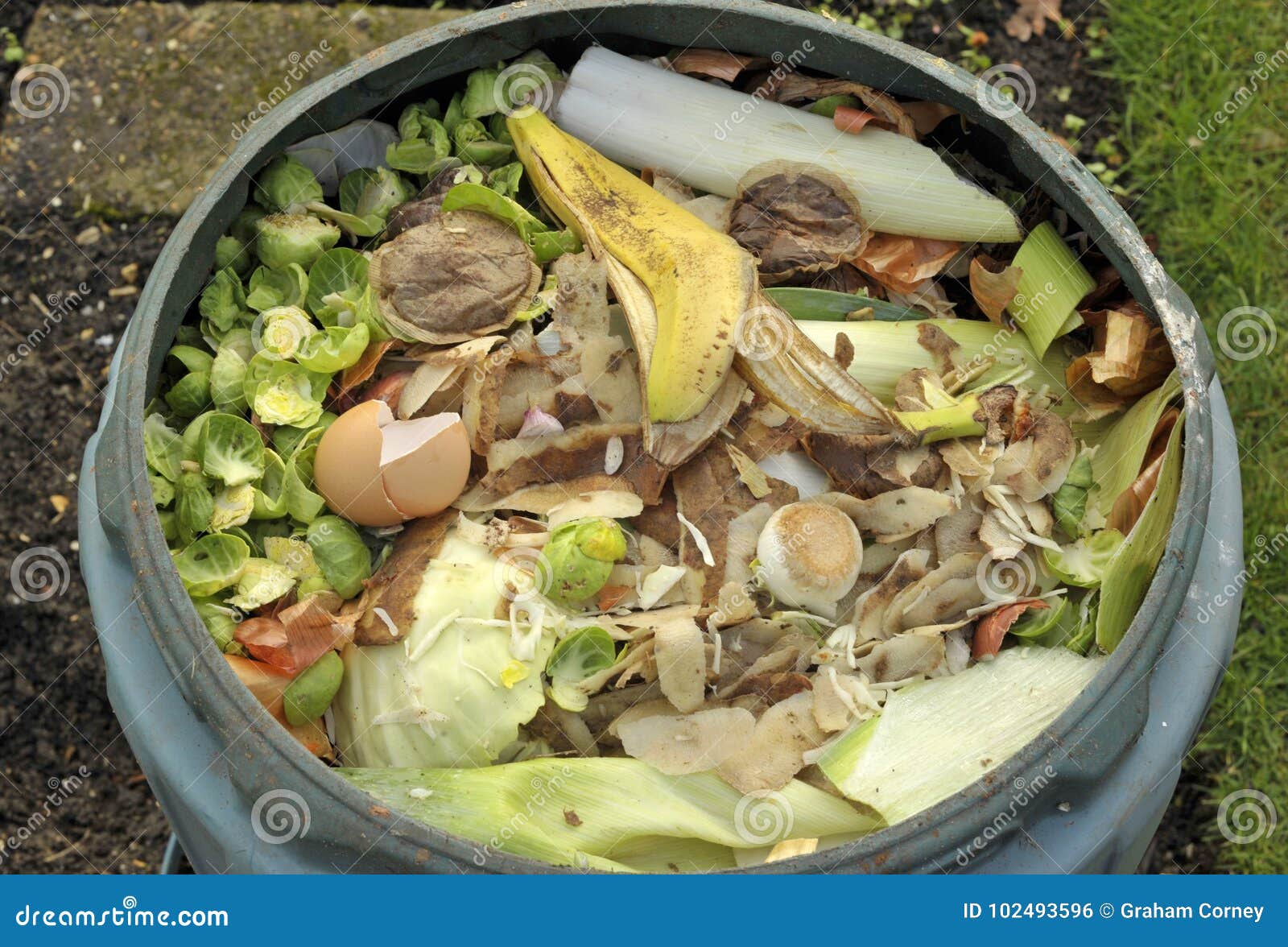 Kitchen Waste Stock Photo Image Of Garden Vegetables 102493596