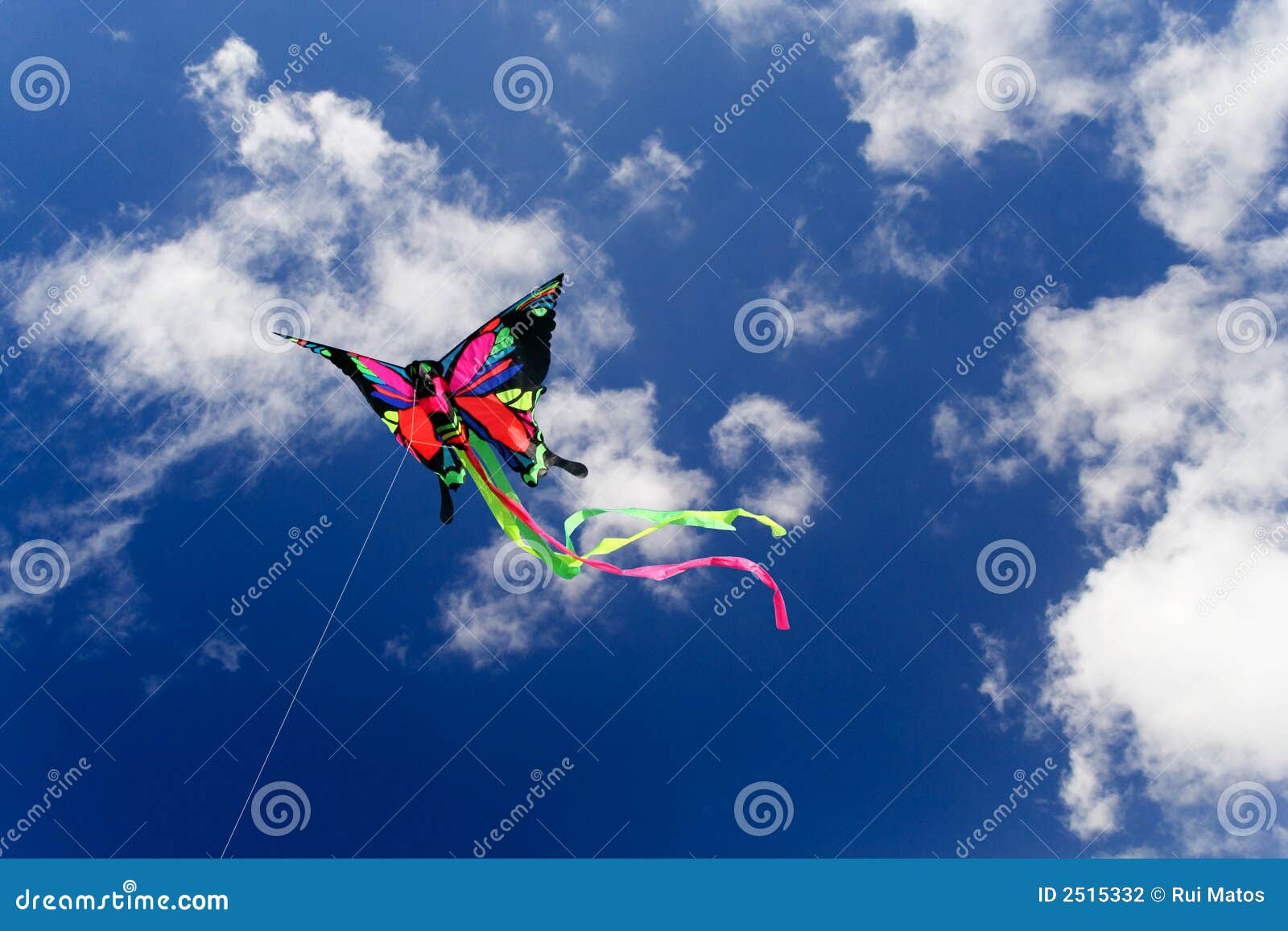 Kite Butterfly stock photo. Image of wind, leisure, windy 2515332
