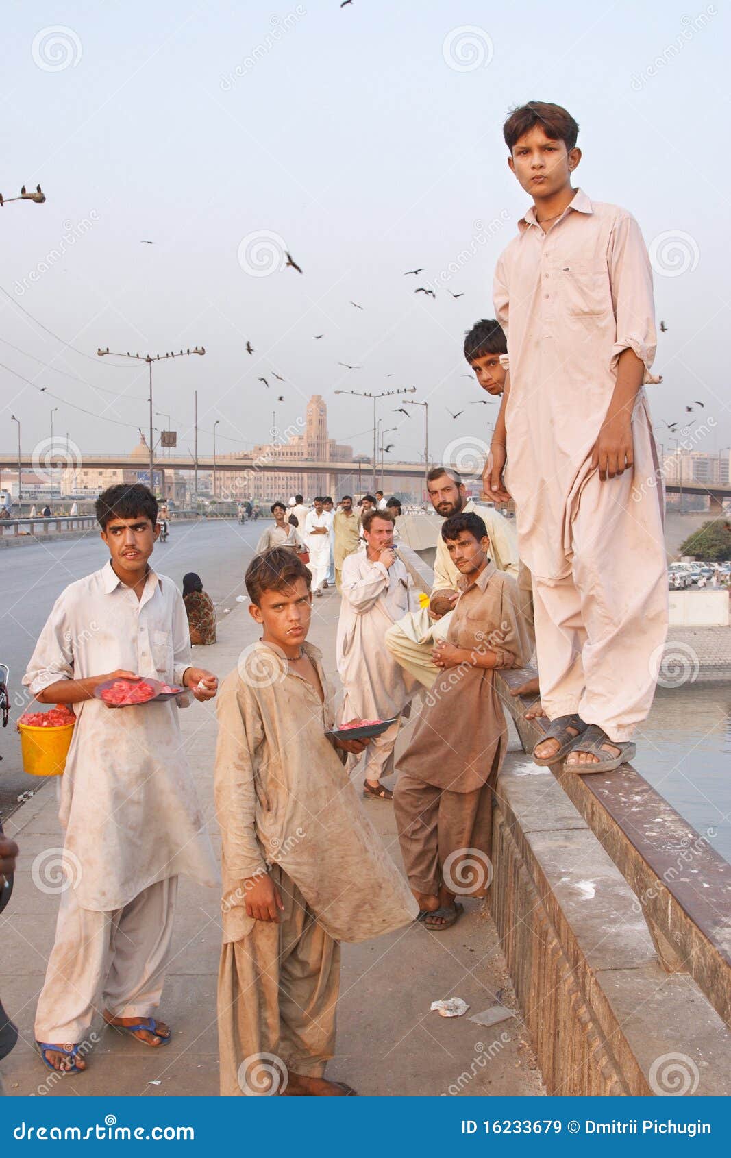 Kite Feeding, Karachi, Pakistan Editorial Stock Image Image of birds