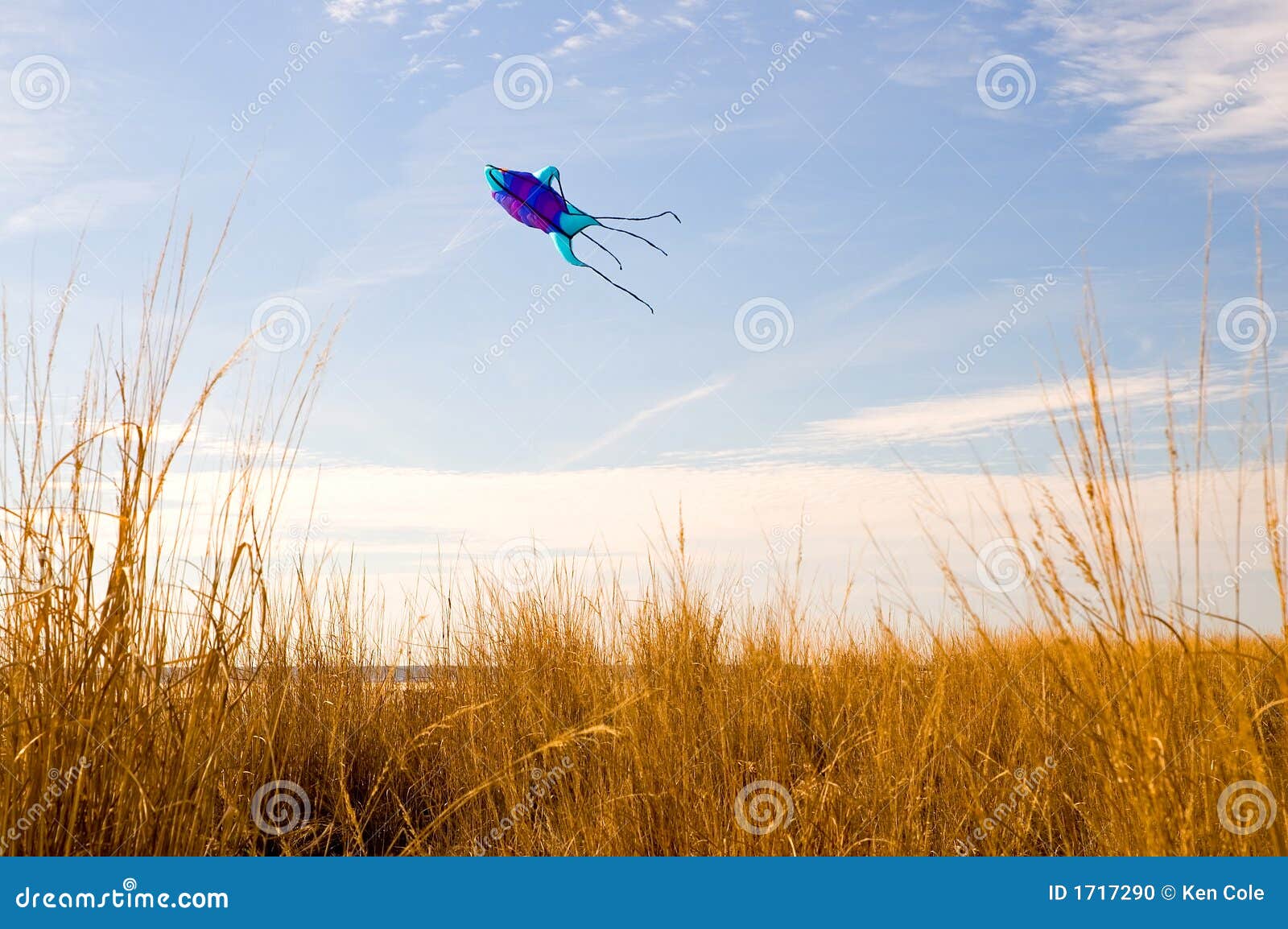 Kite Flying on the Beach2 stock photo. Image of coastal 1717290