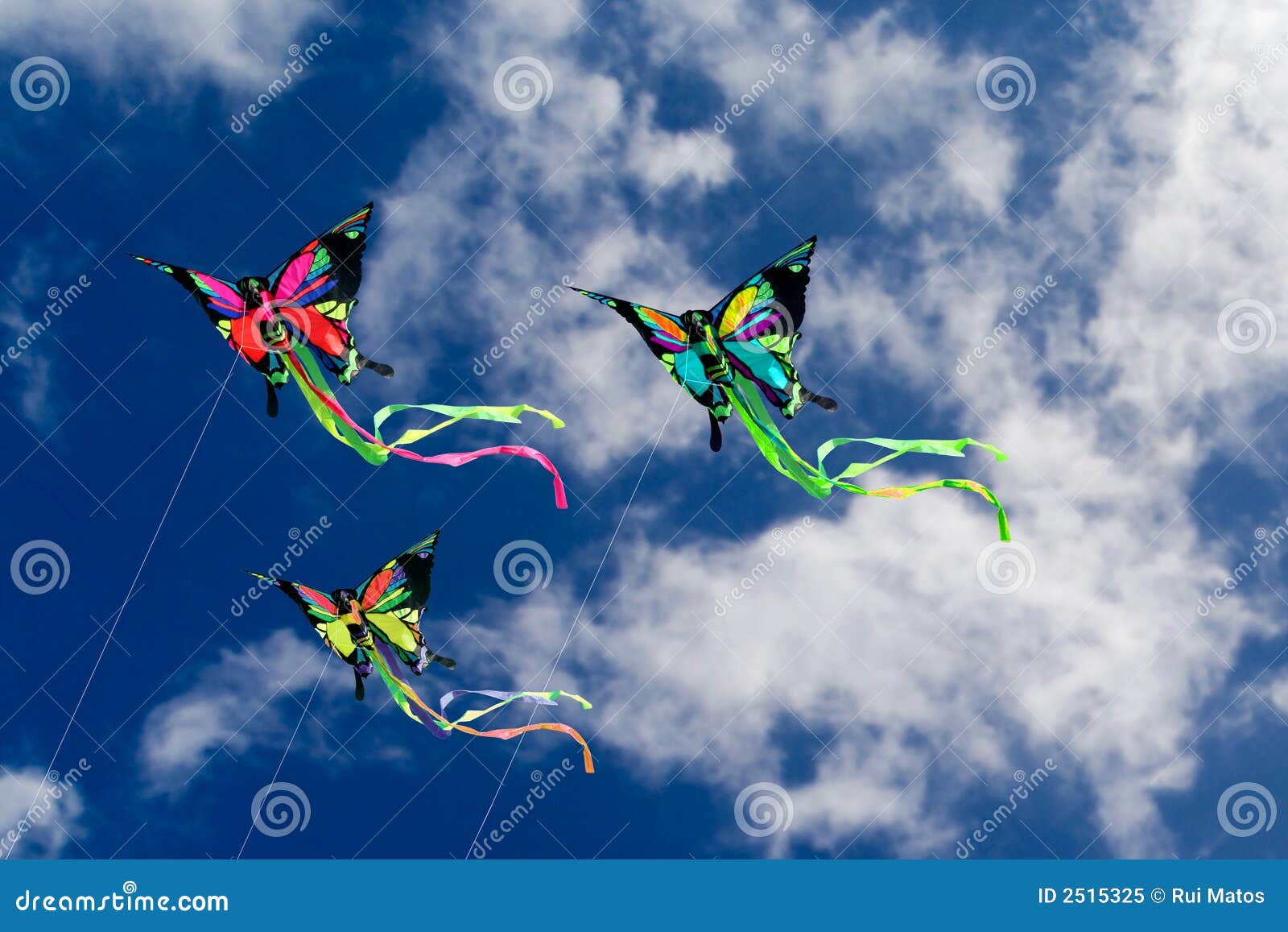 Kites Butterflies stock image. Image of plastic, field 2515325
