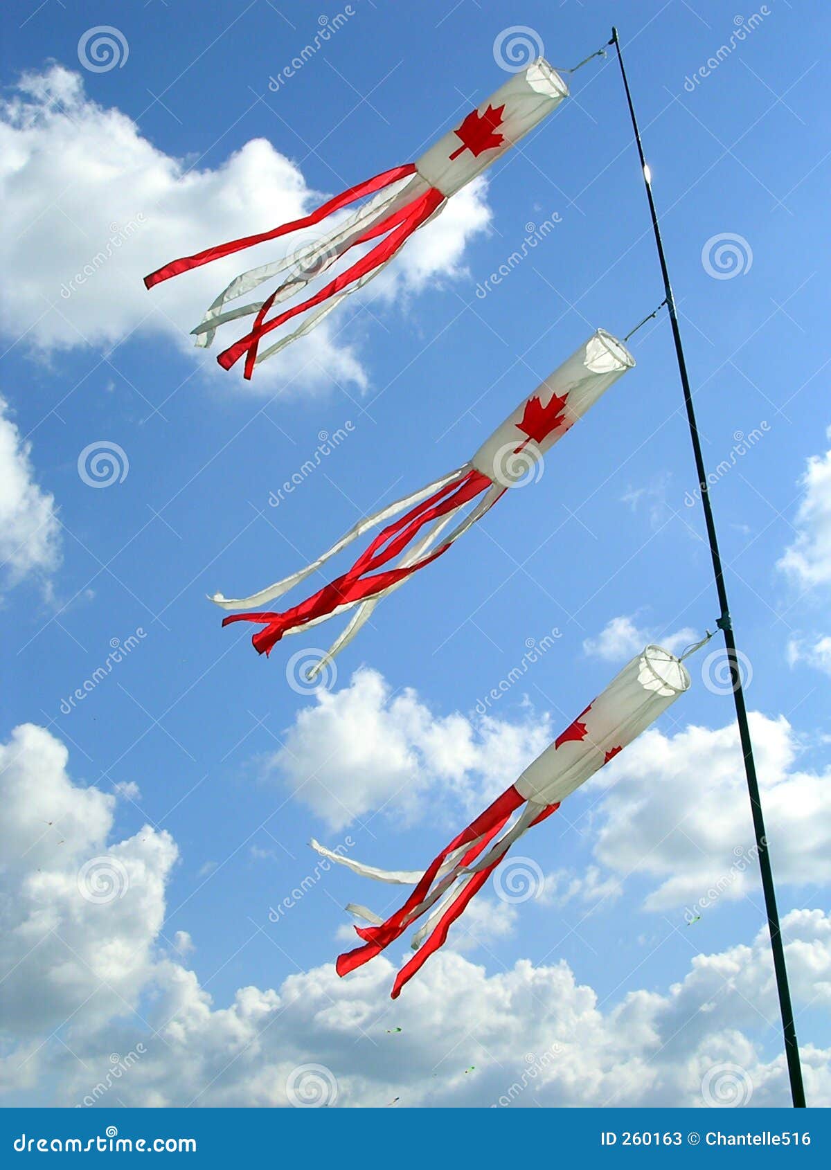 Kites with Canadian Flag Pattern Stock Image Image of movement