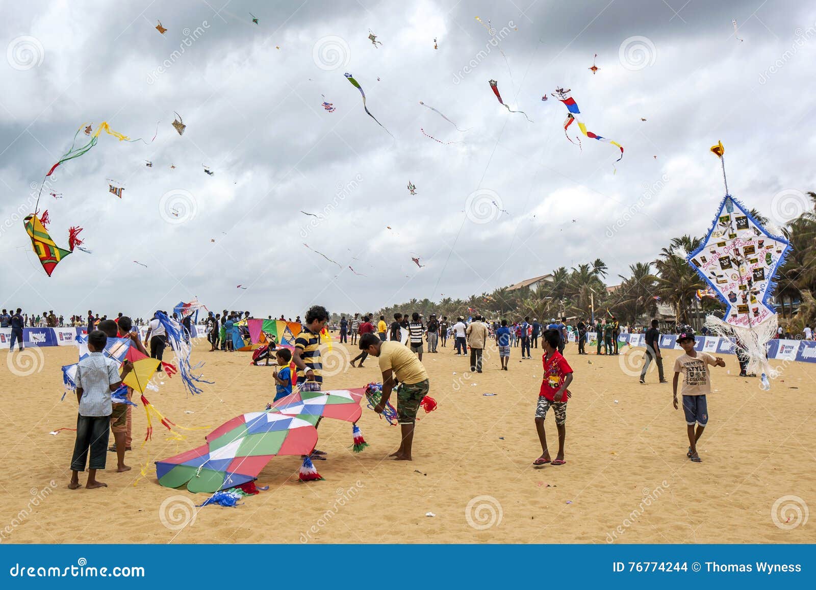 Kites Are Prepared To Lift-off Into The Sky Above Negombo Beach In Sri ...