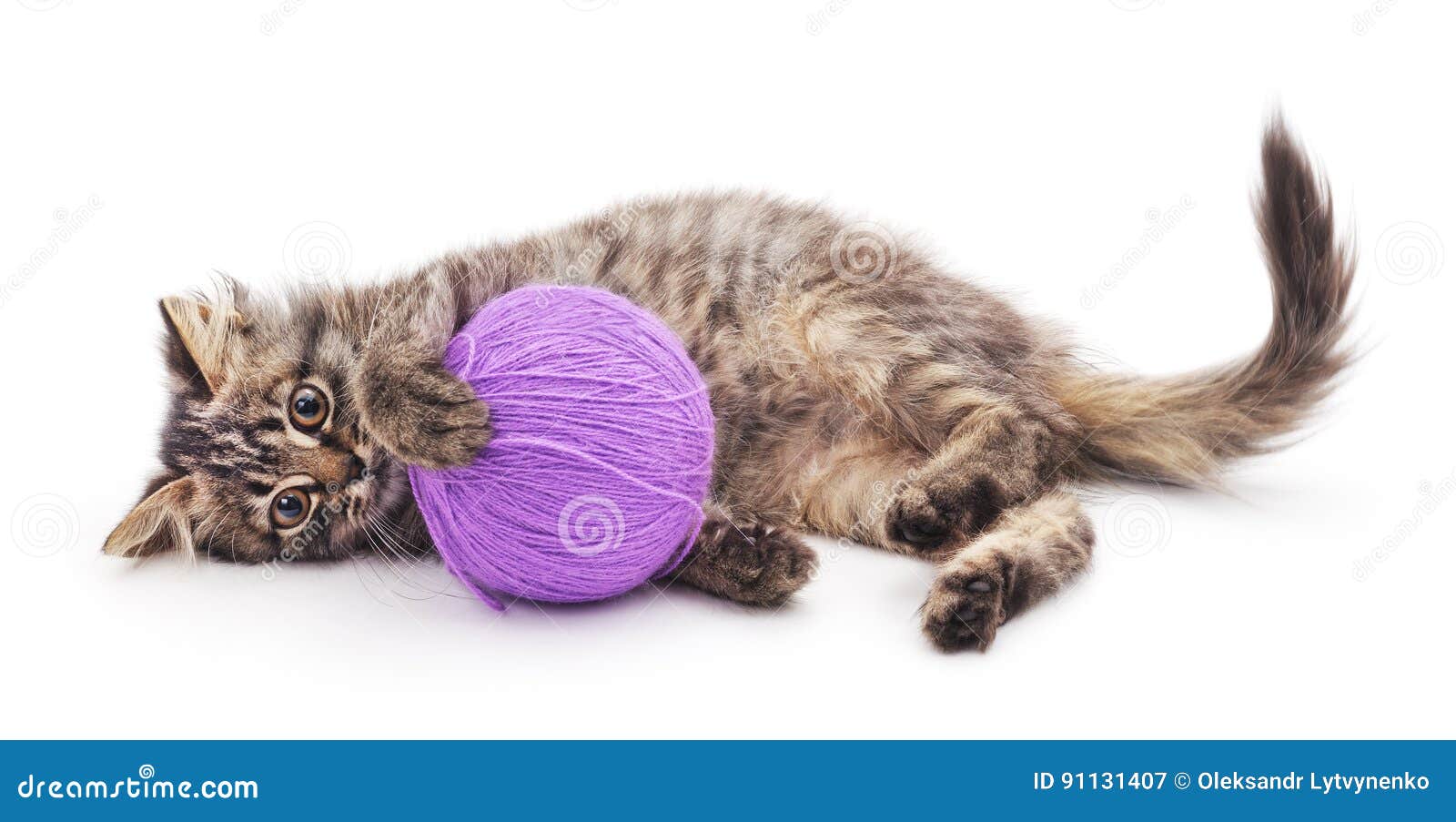 Kitten with ball of yarn. stock image. Image of violet 91131407