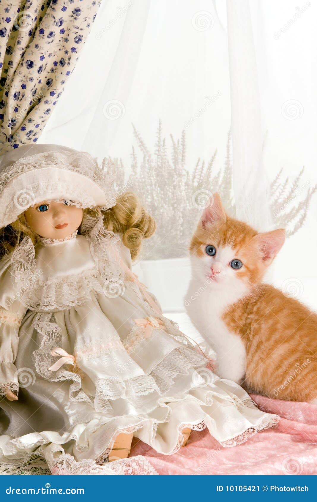 Kitten and doll stock image. Image of vintage, doll, toys 10105421
