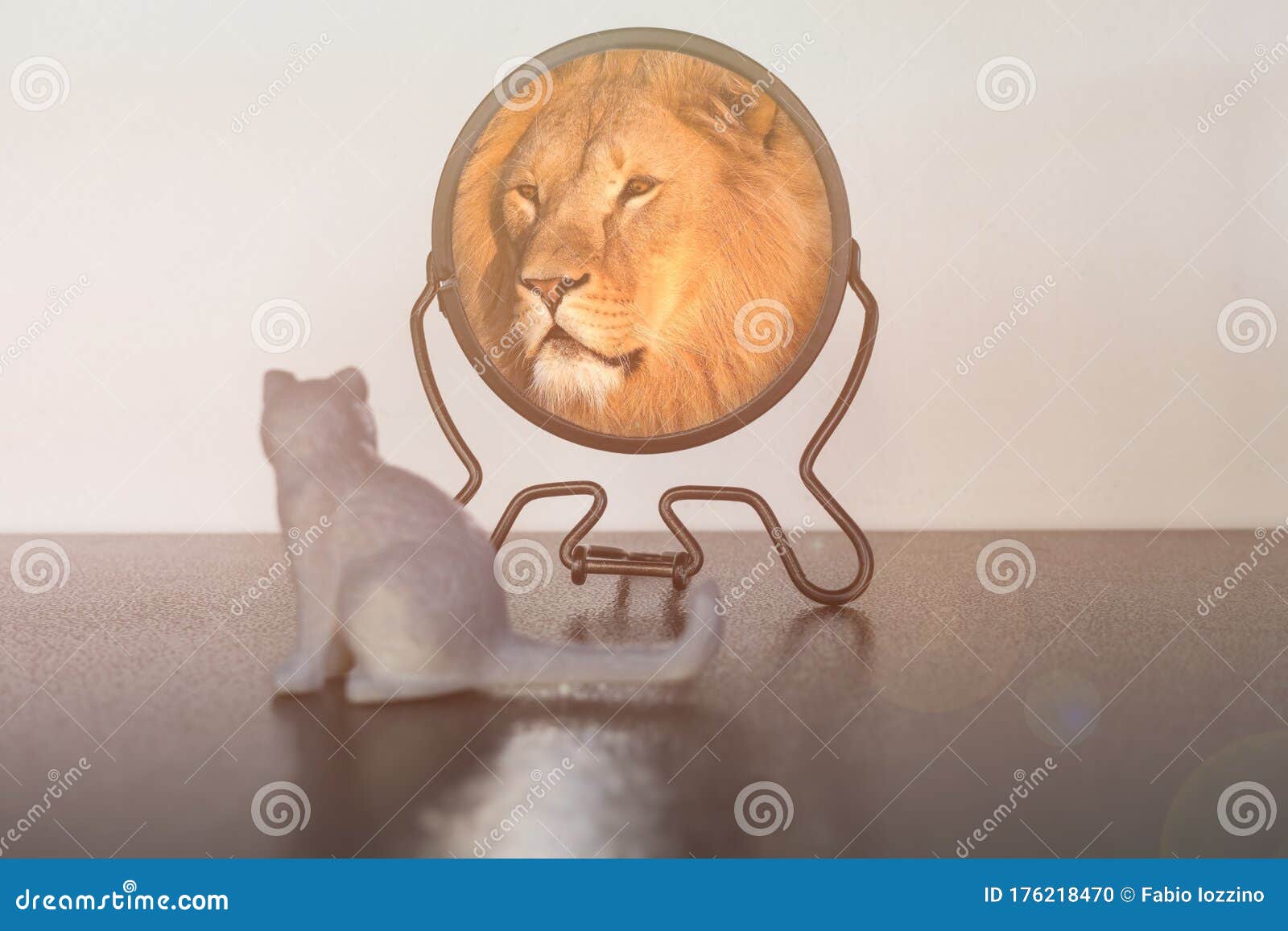 kitten looks in the mirror and sees himself reflected like a lion. self-confidence concept. business or personal growth