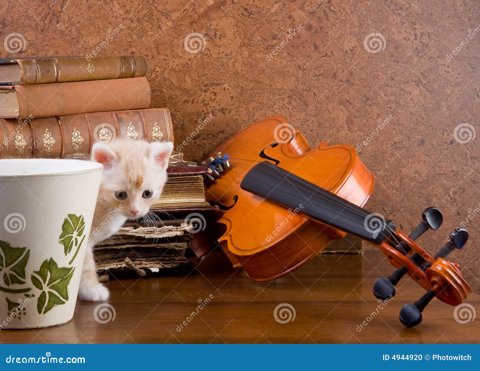 Kitten and violin stock photo. Image of ears, face, animal 4944920