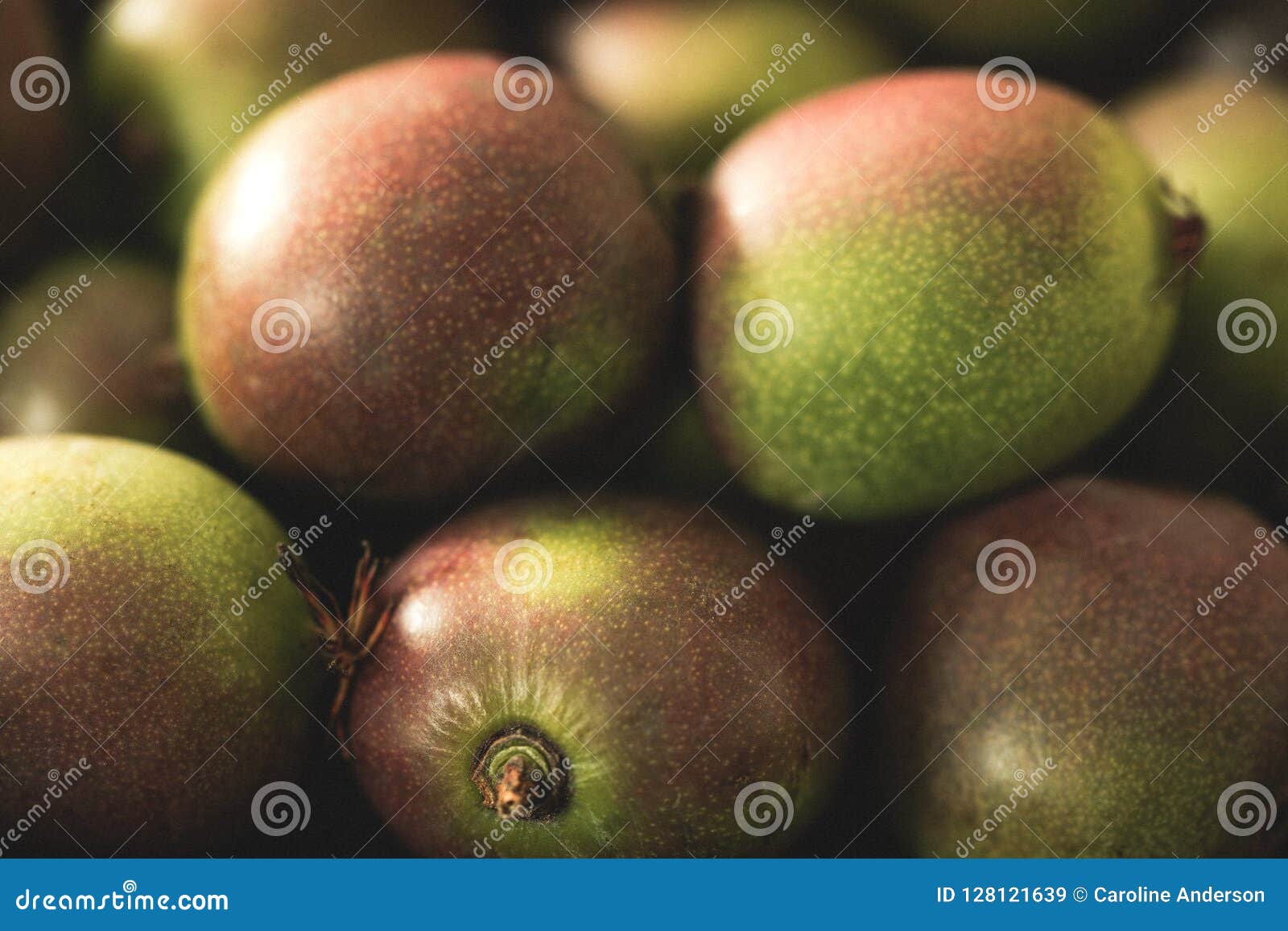 A close up of Kiwi Berries stock image. Image of nature 128121639