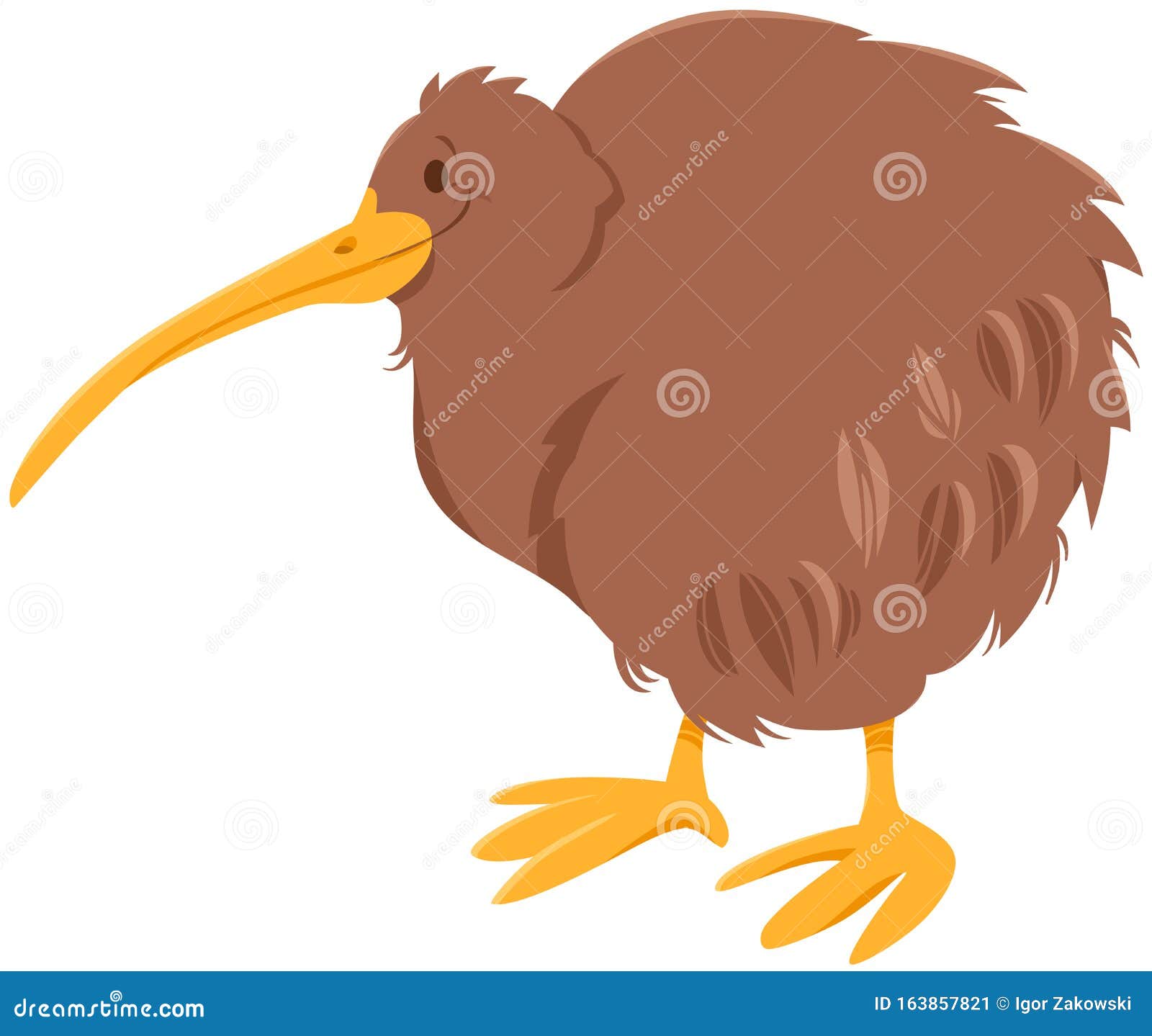 Kiwi Bird Cartoon Animal Character Stock Vector - Illustration of cartoon, drawing: 163857821 Kiwi Bird Cartoon Animal Character Stock Vector - Illustration of cartoon, drawing: 163857821