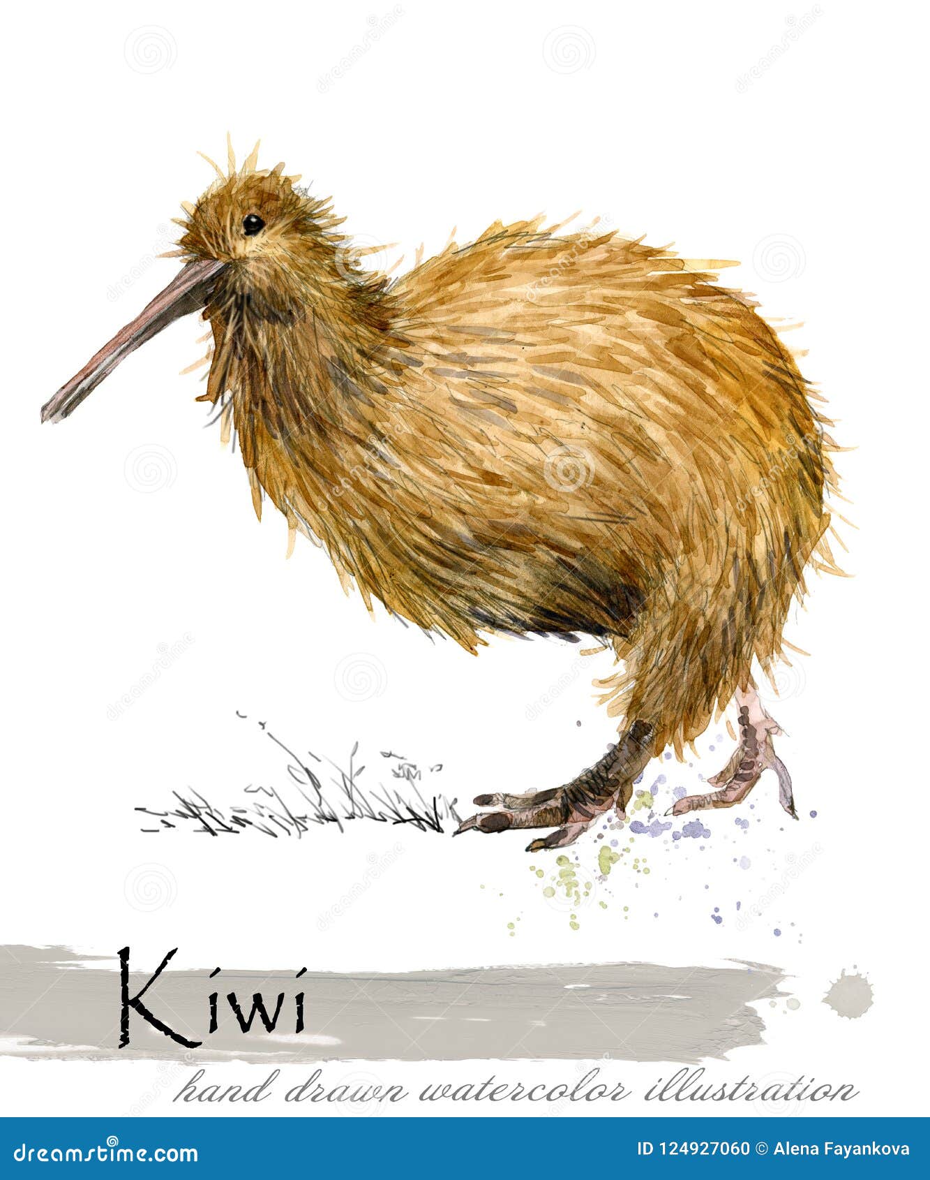 Animal Kiwi Stock Illustrations – 3,230 Animal Kiwi Stock Illustrations, Vectors & Clipart - Dreamstime Animal Kiwi Stock Illustrations – 3,230 Animal Kiwi Stock Illustrations, Vectors & Clipart - Dreamstime