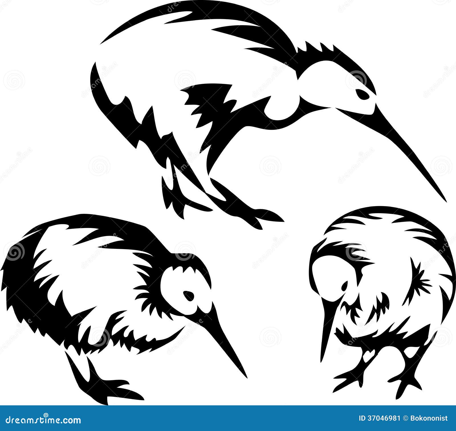 Kiwi stock vector. Illustration of native, stylized, bird 37046981