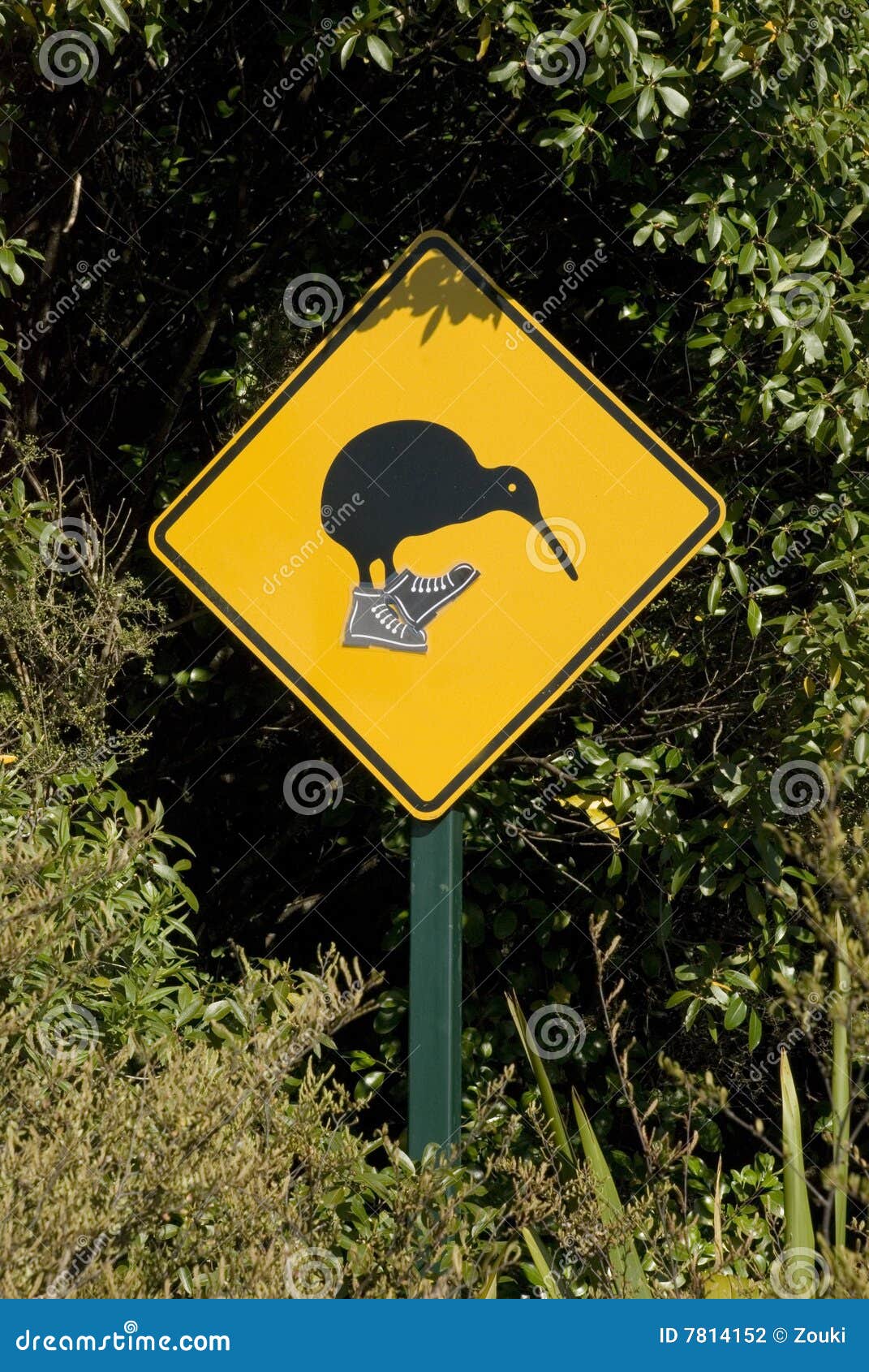 Kiwi crossing stock photo. Image of caution, traffic, yellow - 7814152