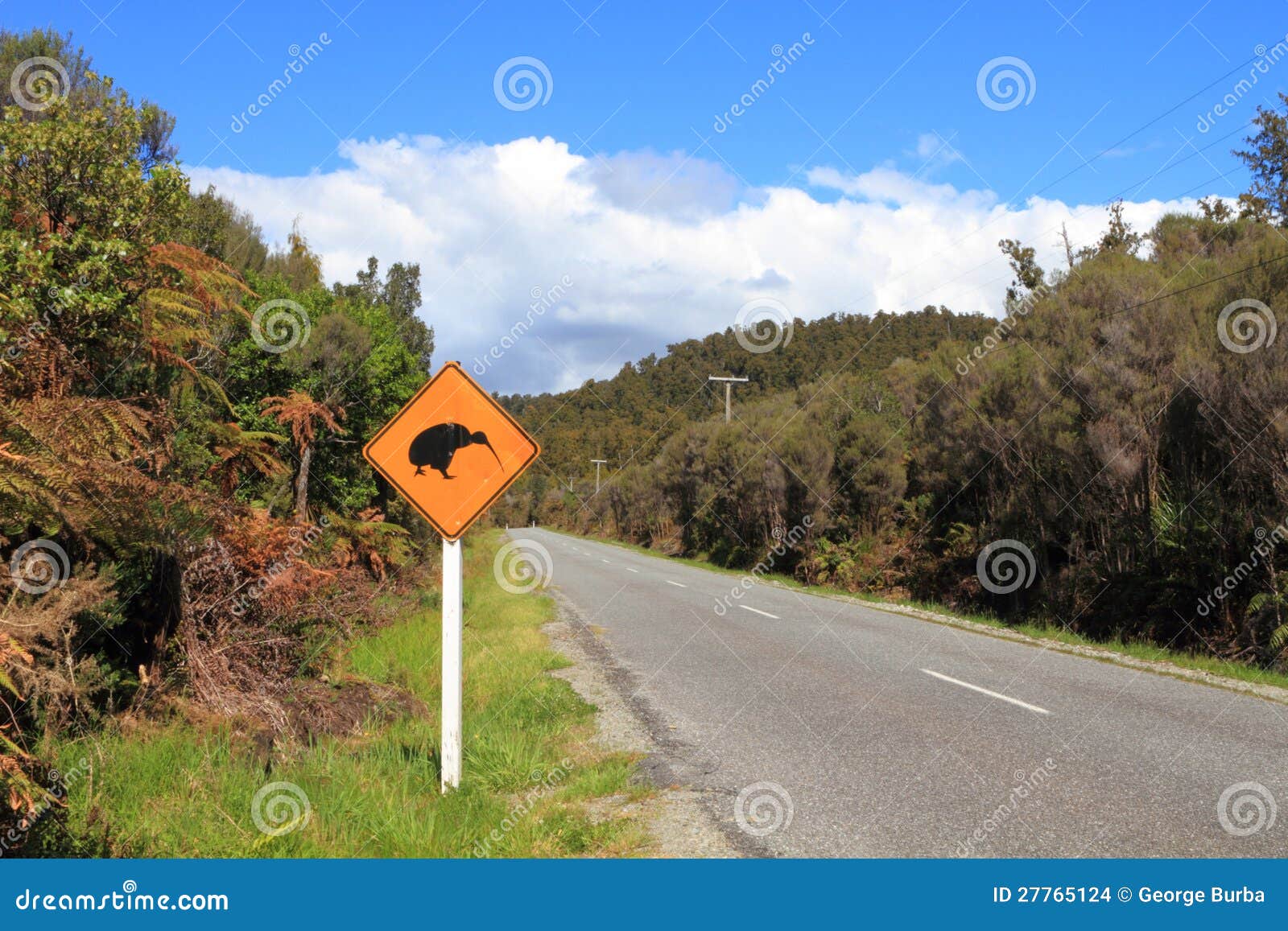 Kiwi Crossing Sign stock photo. Image of green, animal - 27765124
