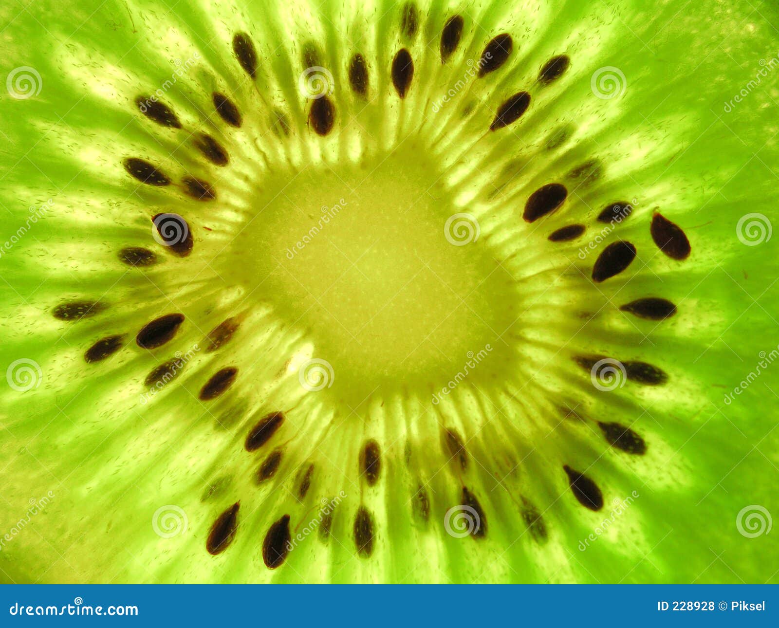Kiwi Fruit stock photo. Image of freshness, sliced ...