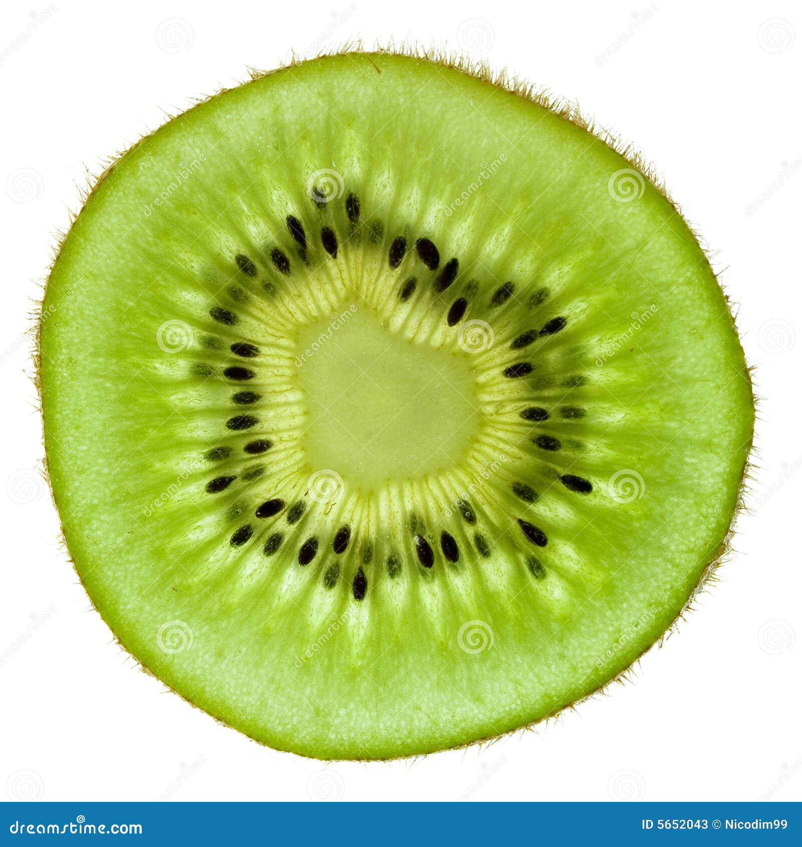 free kiwi fruit clipart - photo #38