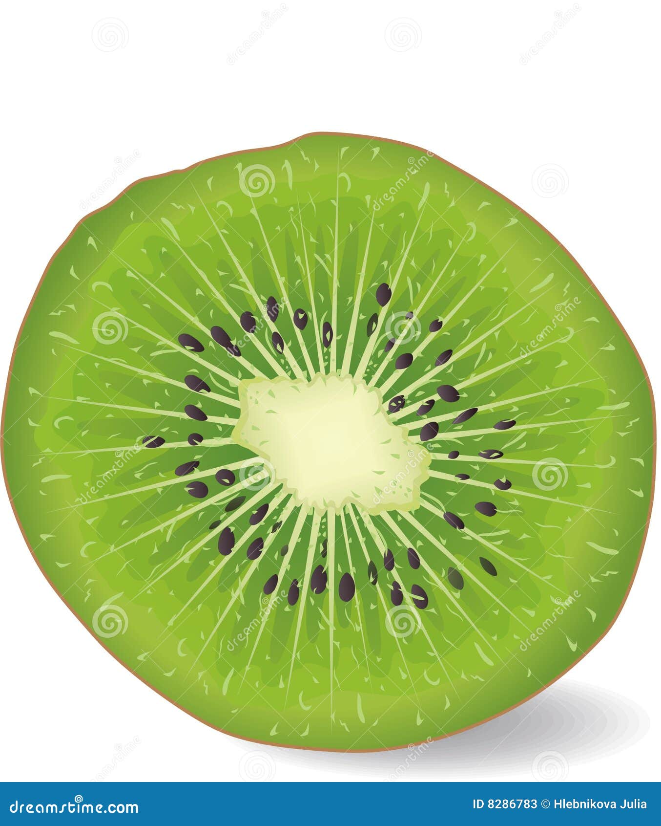 kiwi fruit