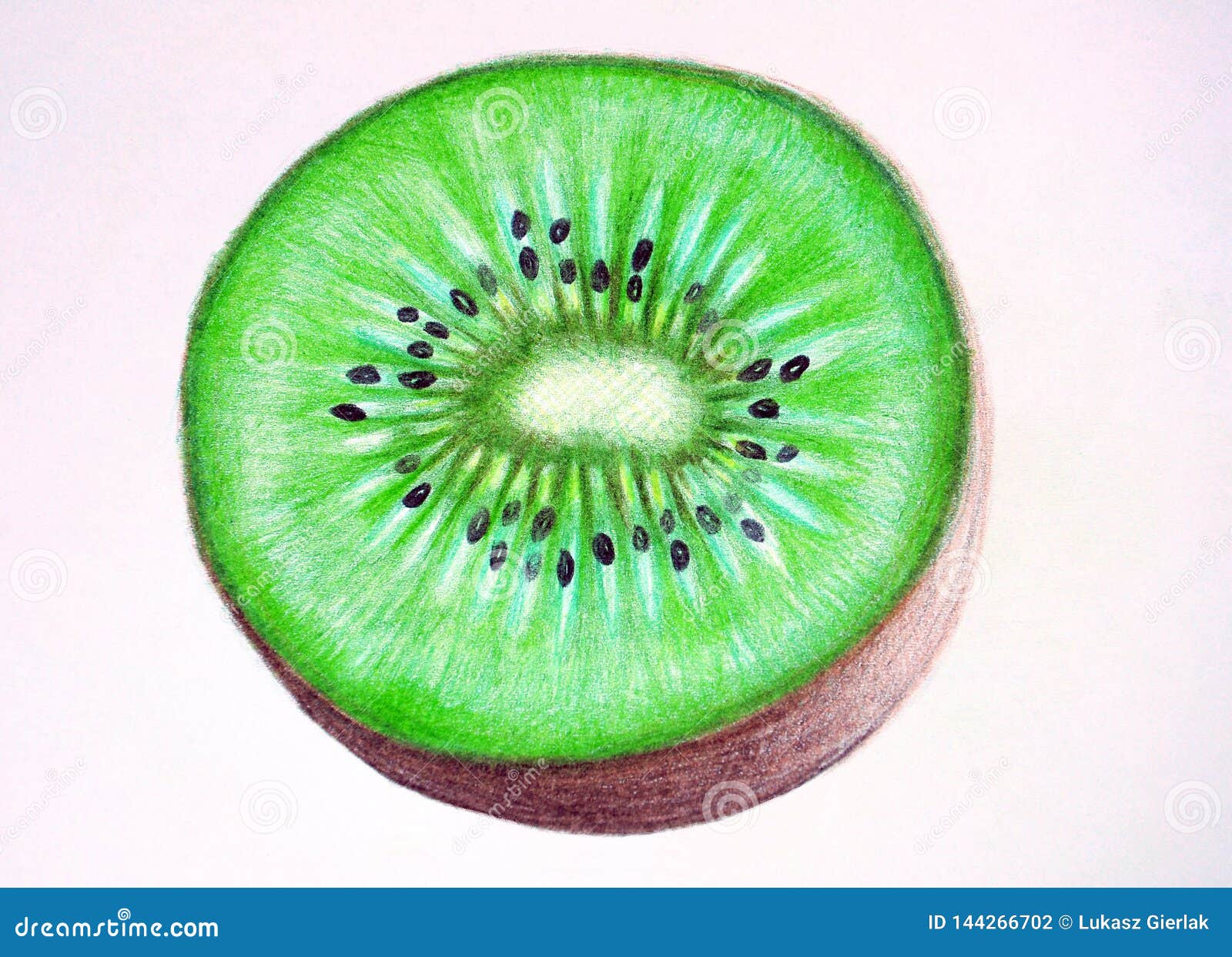 Discover 73+ kiwi fruit sketch - seven.edu.vn