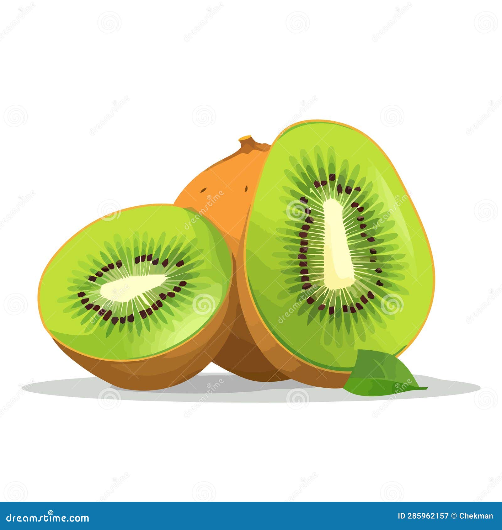 Kiwi Fruit. Image of Fresh Kiwi Fruit Stock Vector Illustration of