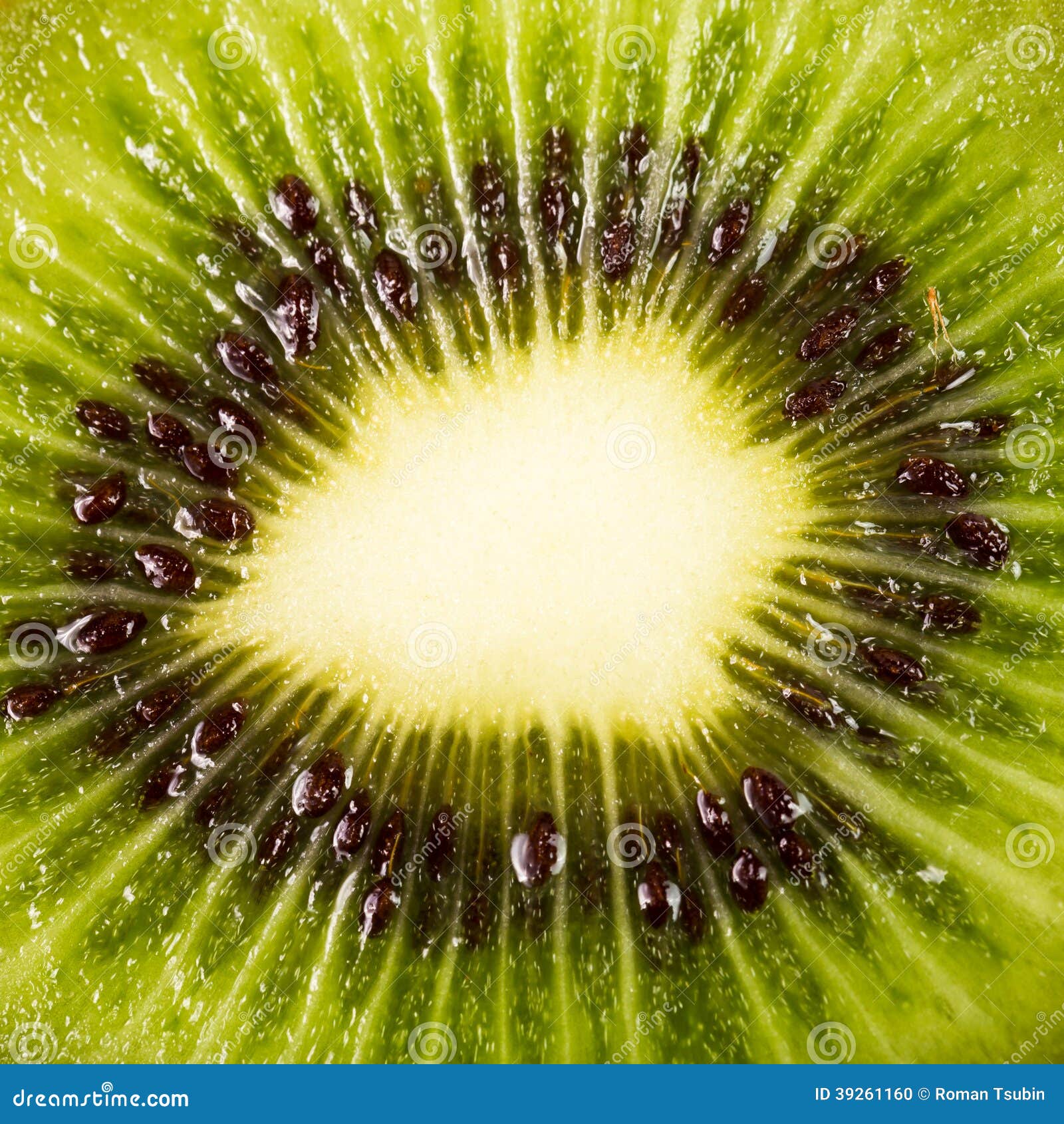 Kiwi Fruit Inside with Seeds Stock Photo Image of plant, fruity 39261160