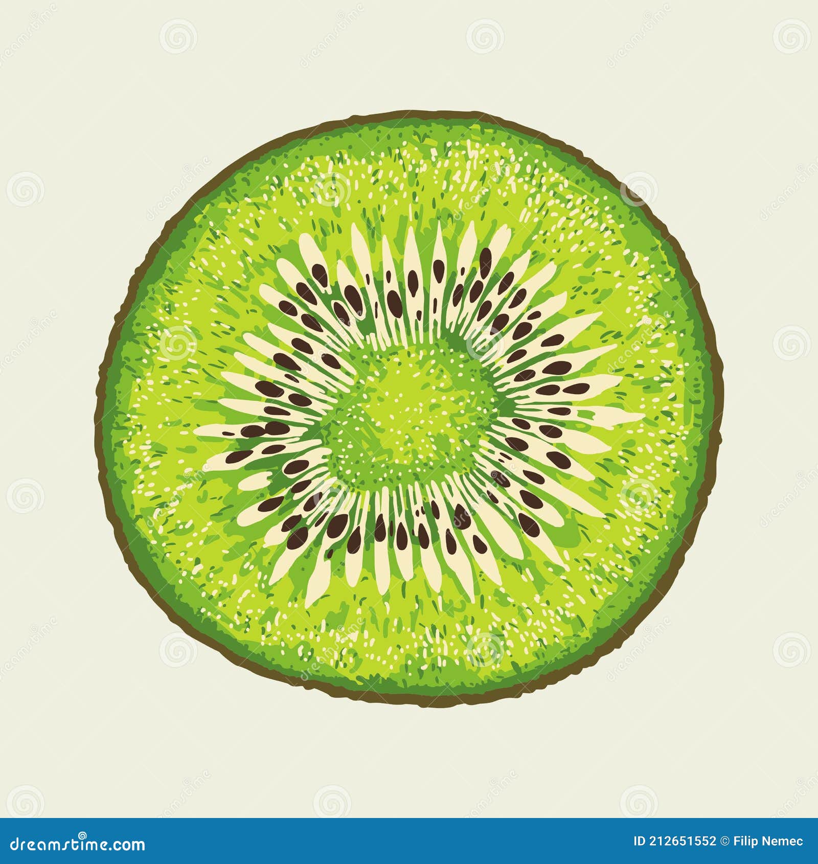 Kiwi Slice Vector stock vector. Illustration of kiwi - 212651552, image size:1600x1690