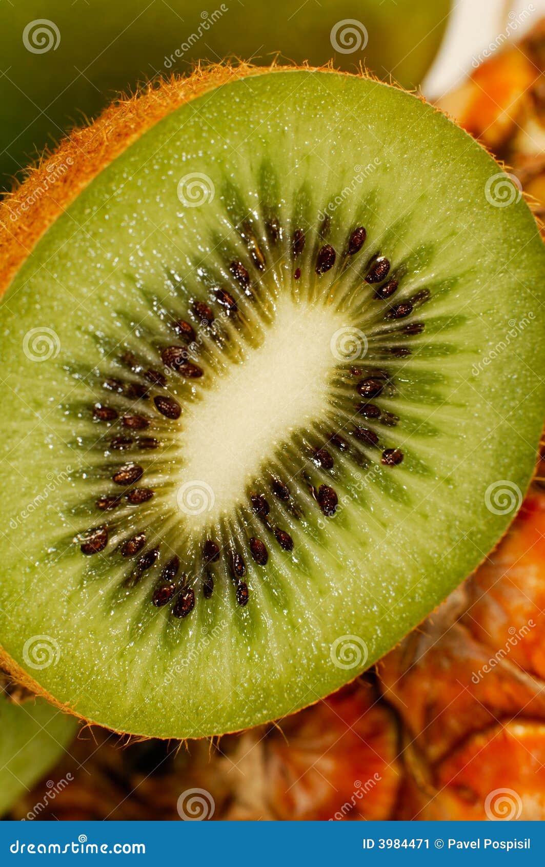 Kiwi fruit with seeds stock image. Image of green, vegetarian 3984471