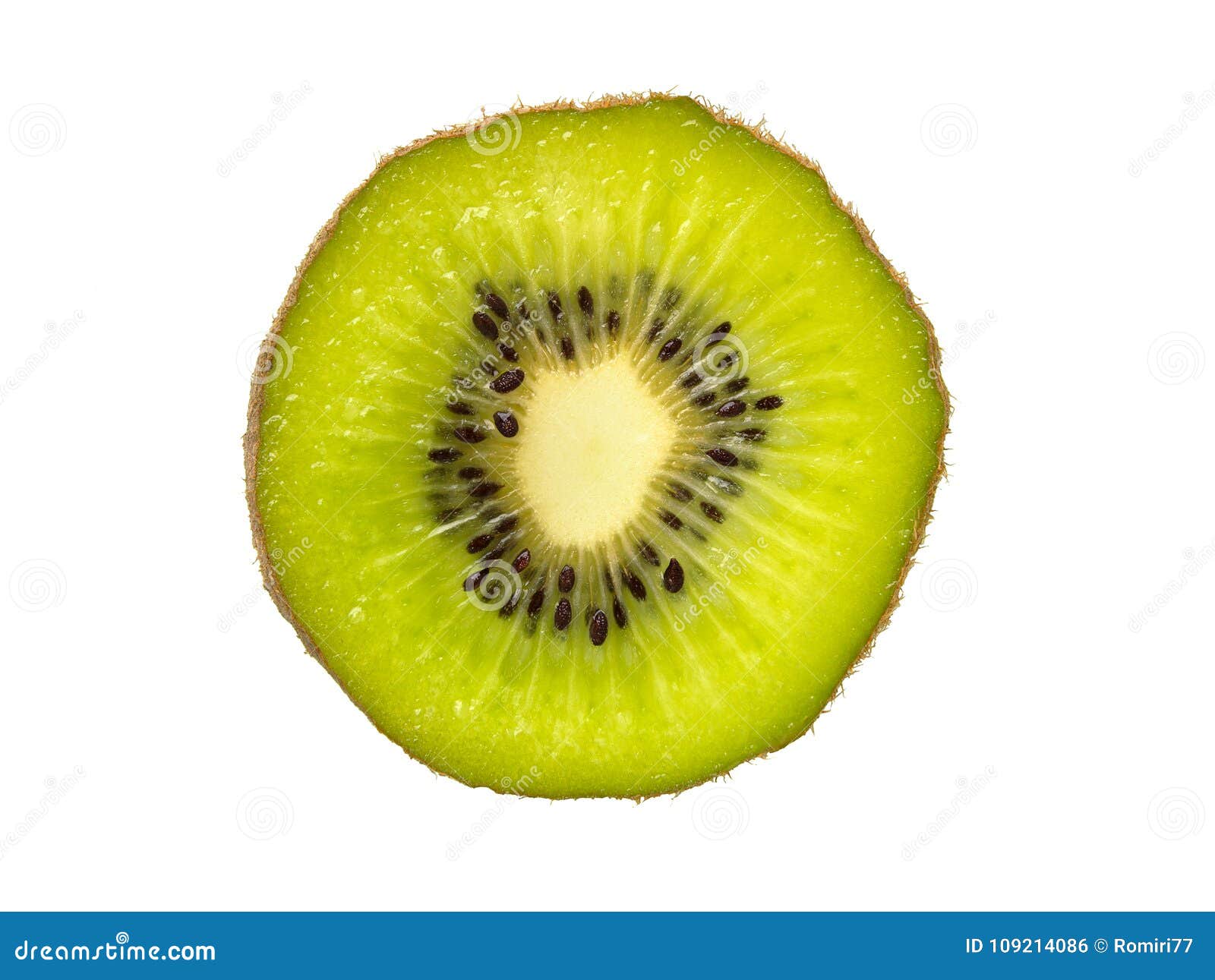 Kiwi Fruit. Slice of Kiwi Fruit Isolated on White Background Stock Photo Image of eating