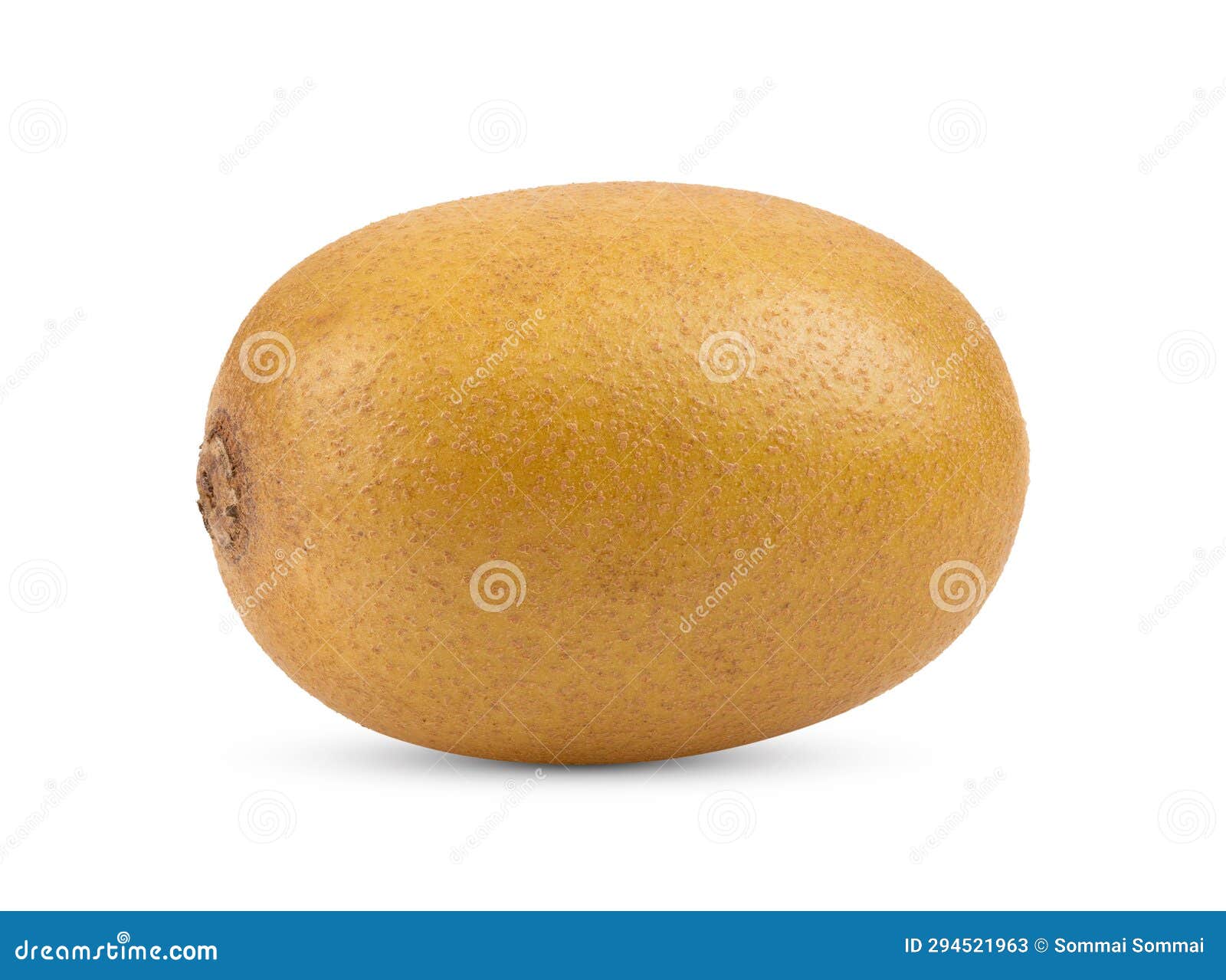 Kiwi Gold Isolated on the White Stock Image Image of natural, sliced