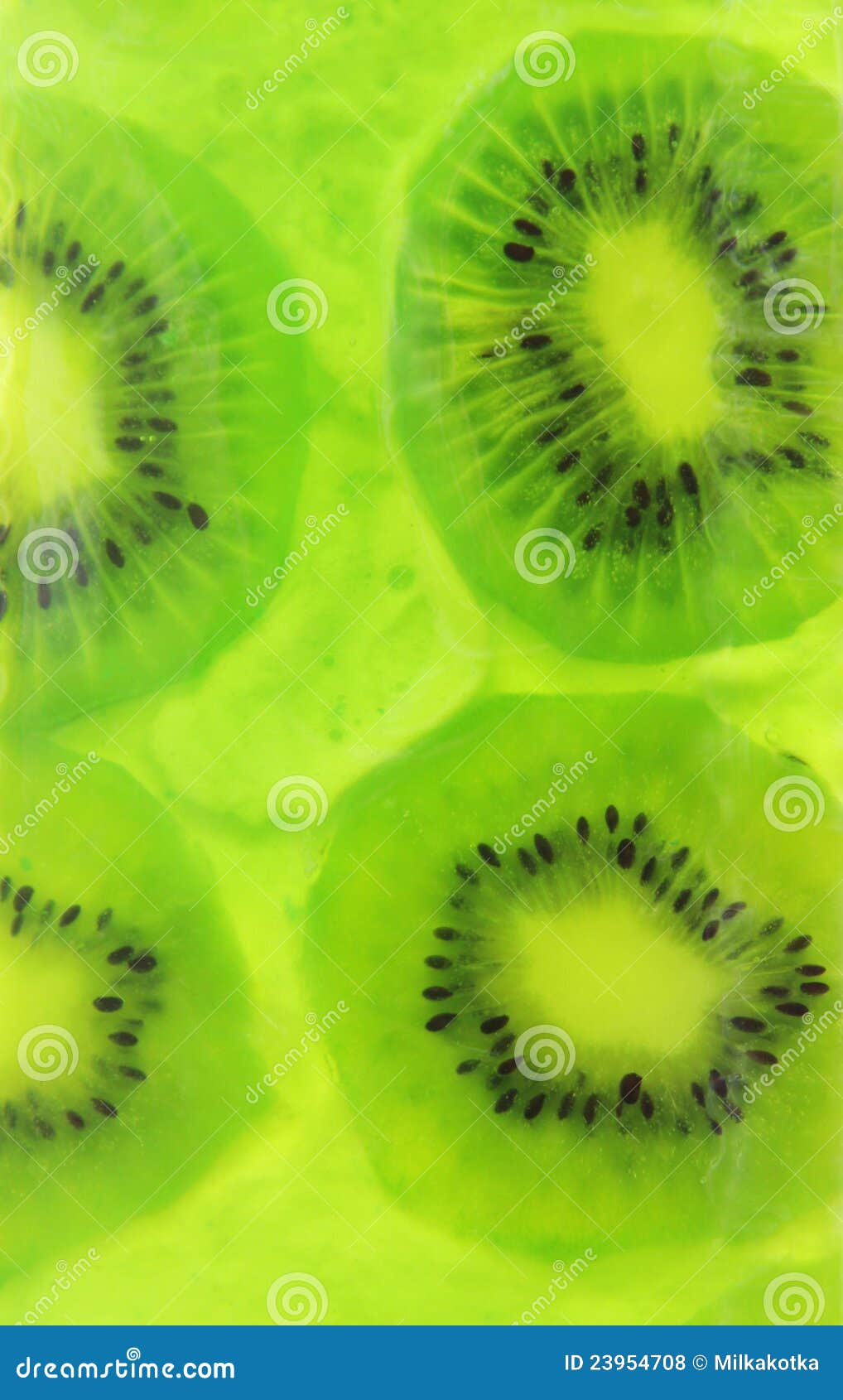 Kiwi Jelly stock photo. Image of background, fruity, slices 23954708