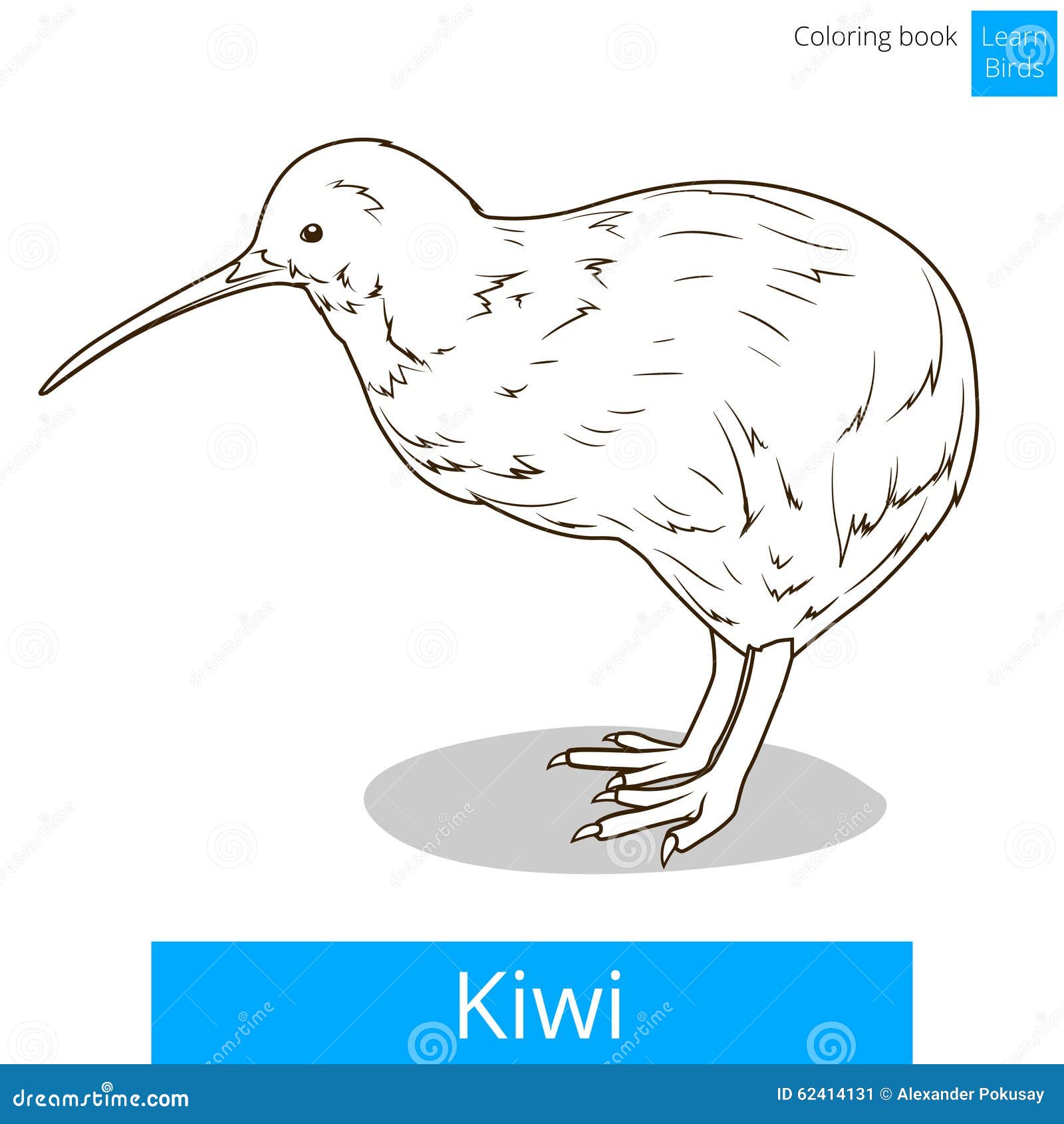 Kiwi Learn Birds Coloring Book Vector Stock Vector - Illustration of