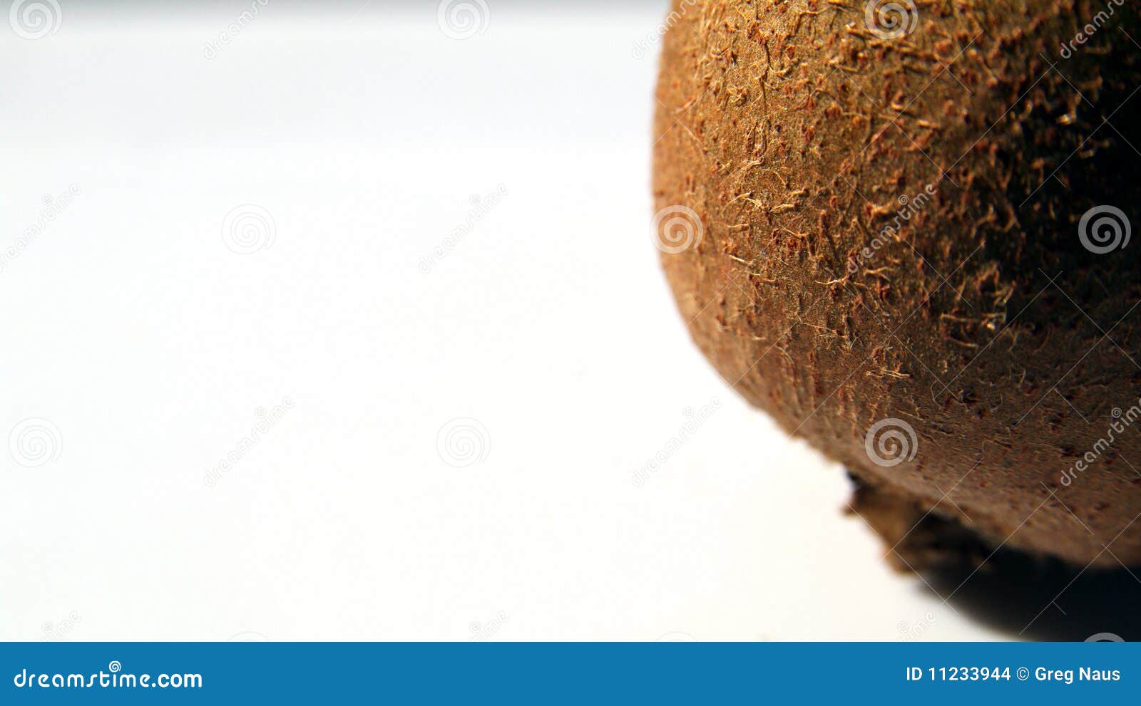 Kiwi Skin stock photo. Image of kiwi, green, fuzzy, zealand - 11233944