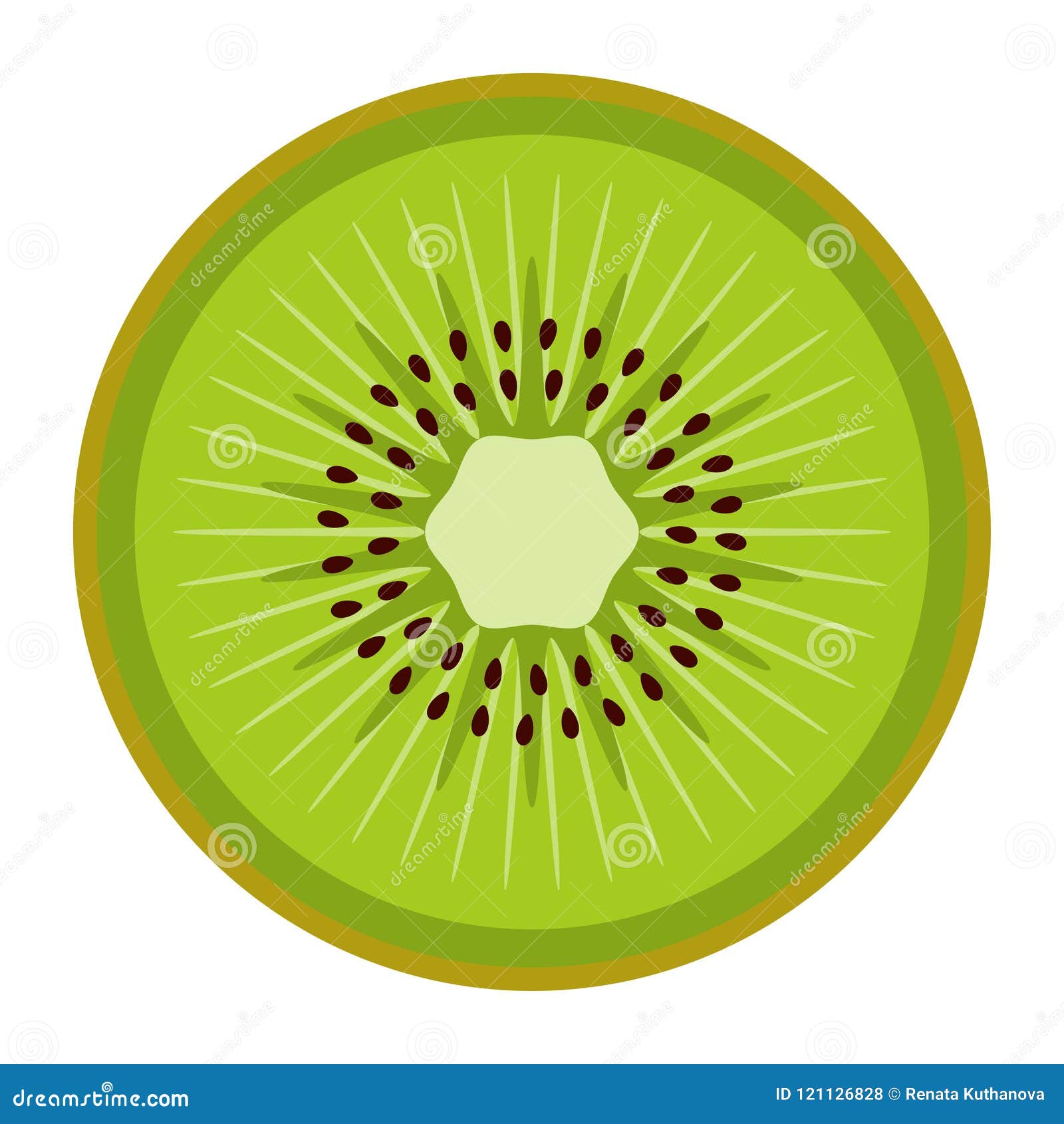 Kiwi slice stock vector. Illustration of dessert, farm 121126828