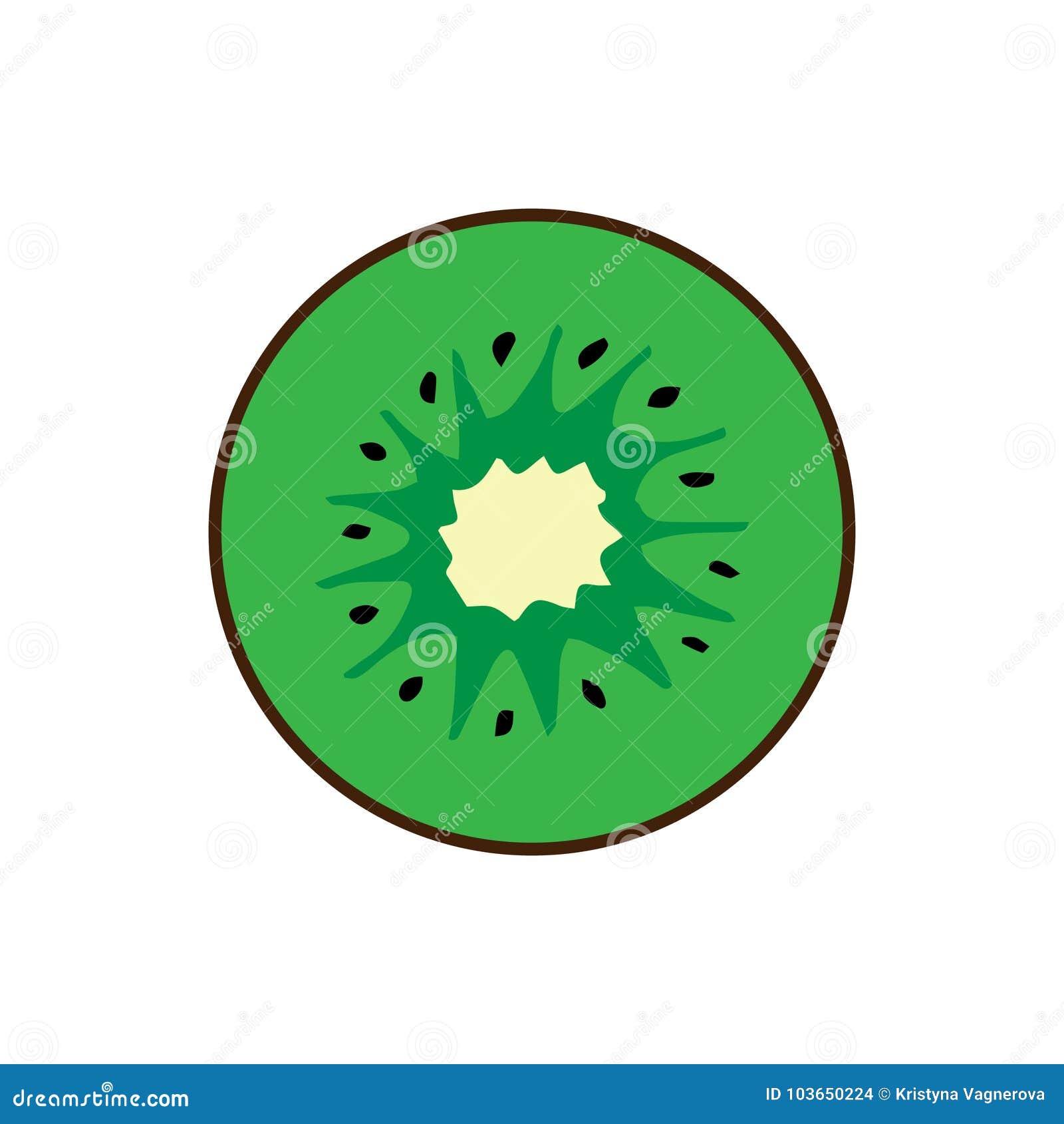 Kiwi Slice Vector Illustration Stock Vector Illustration Of Drawing Juicy