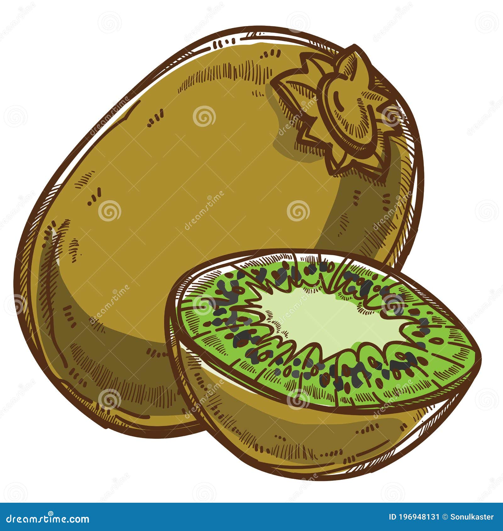https://thumbs.dreamstime.com/z/kiwi-tropical-fruit-sliced-part-healthy-eating-vector-seeds-green-isolated-icon-berry-delicious-chopped-organic-ingredient-196948131.jpg