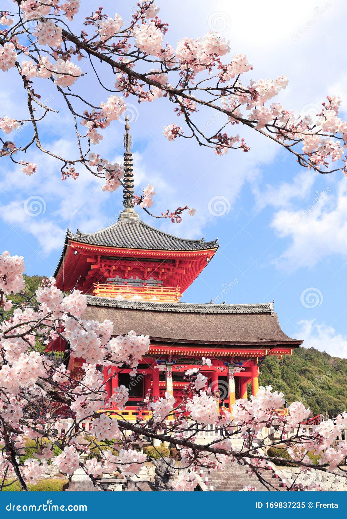 Kiyomizu Dera Temple And Sakura Flowers Kyoto Japan Stock Image Image Of March Asian 169837235