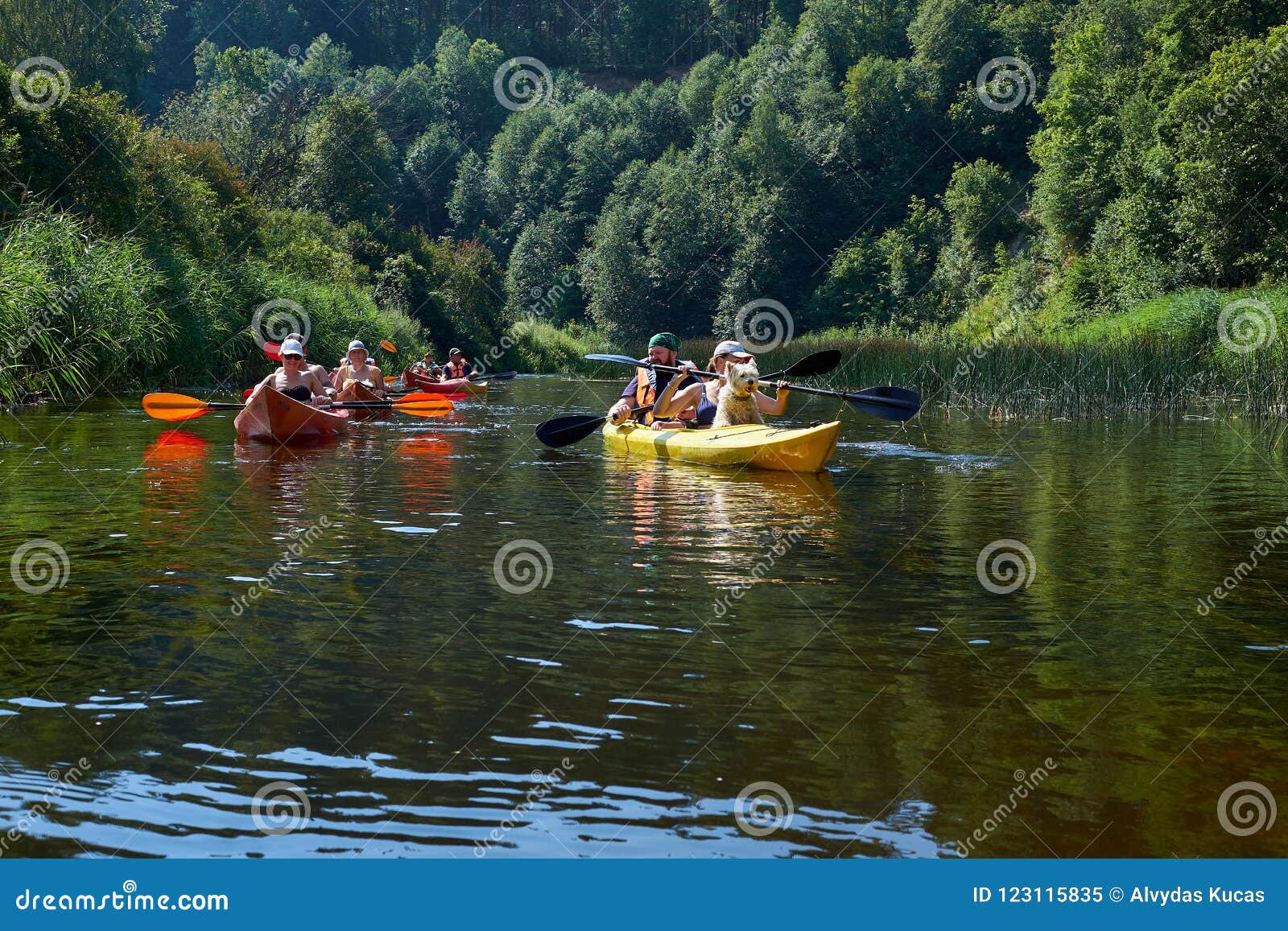 Canoeing by the River. Lithuania by the River Minija. Editorial Image ...