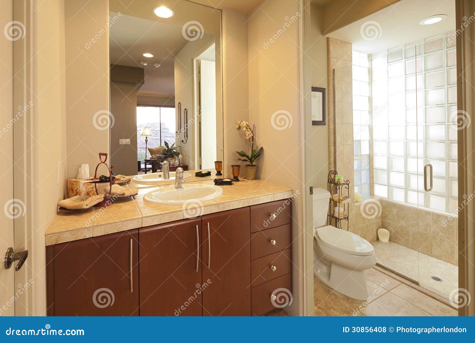 Klassiskt badrum arkivfoto. Bild av koppling, plats, lokal - 30856408