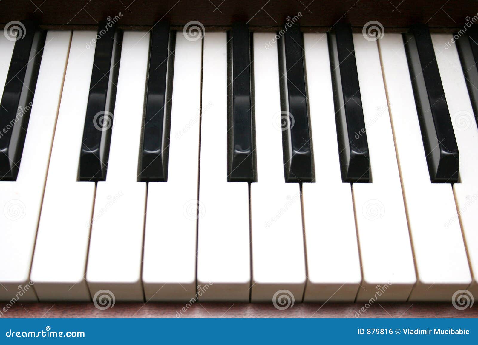 Klaviertastatur stockfoto. Bild von schwarzes, haushalt - 879816