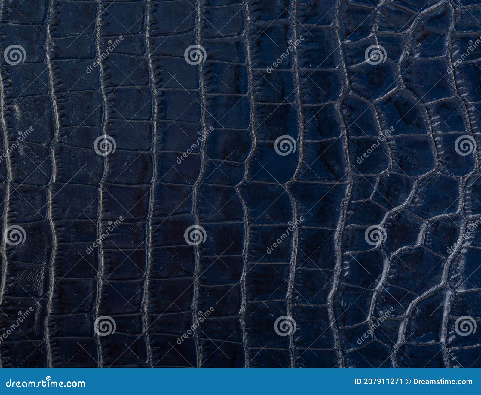 Klein Blue Crocodile Leather Texture Natural Stock Image - Image of  symmetry, monochrome: 207911271