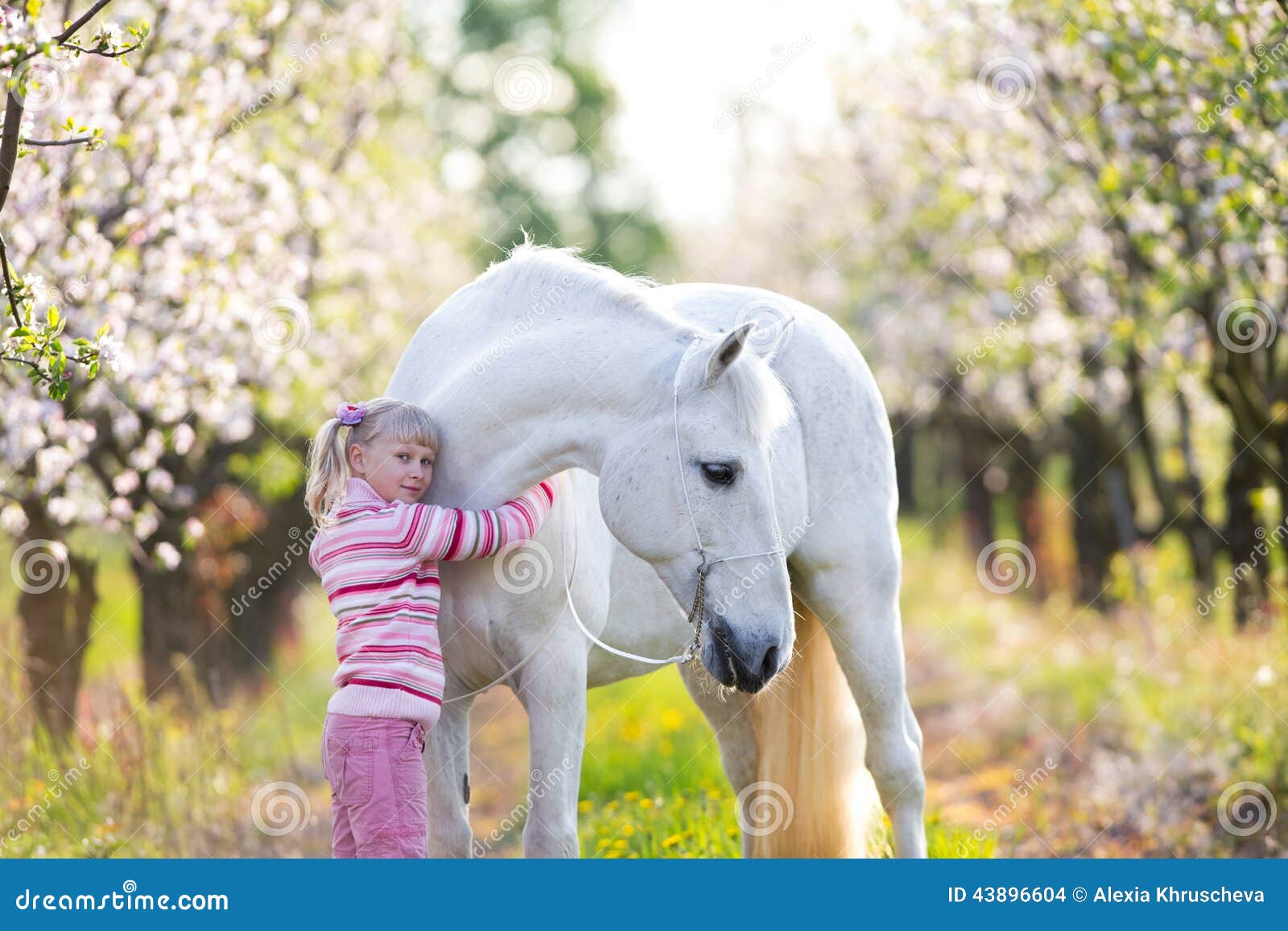 Authenticatie wijsheid verschijnen Klein Kind Met Een Wit Paard in Appelboomgaard Stock Foto - Image of  liefde, nave: 43896604