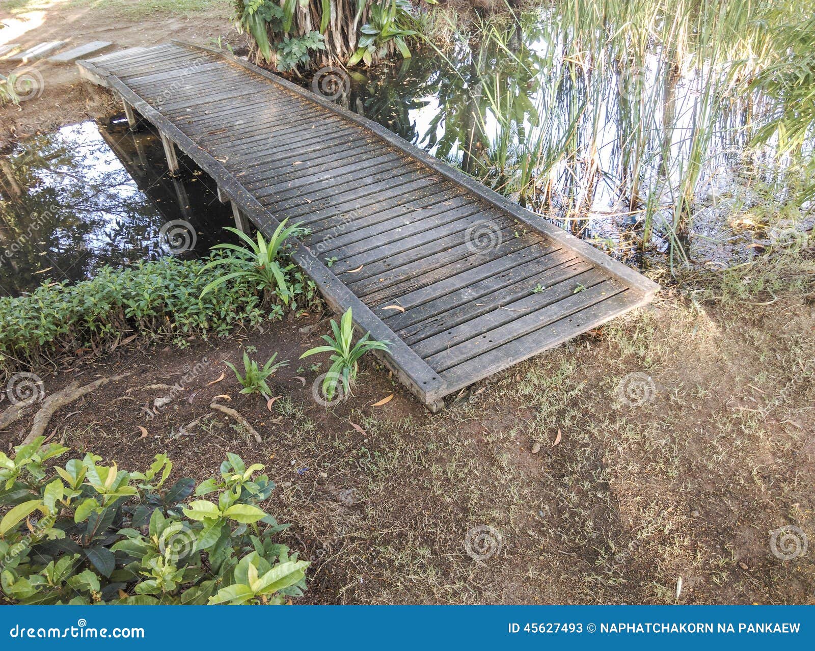 Kleine Holzbrücke über Einem Teich Stockbild Bild von rüber, teich