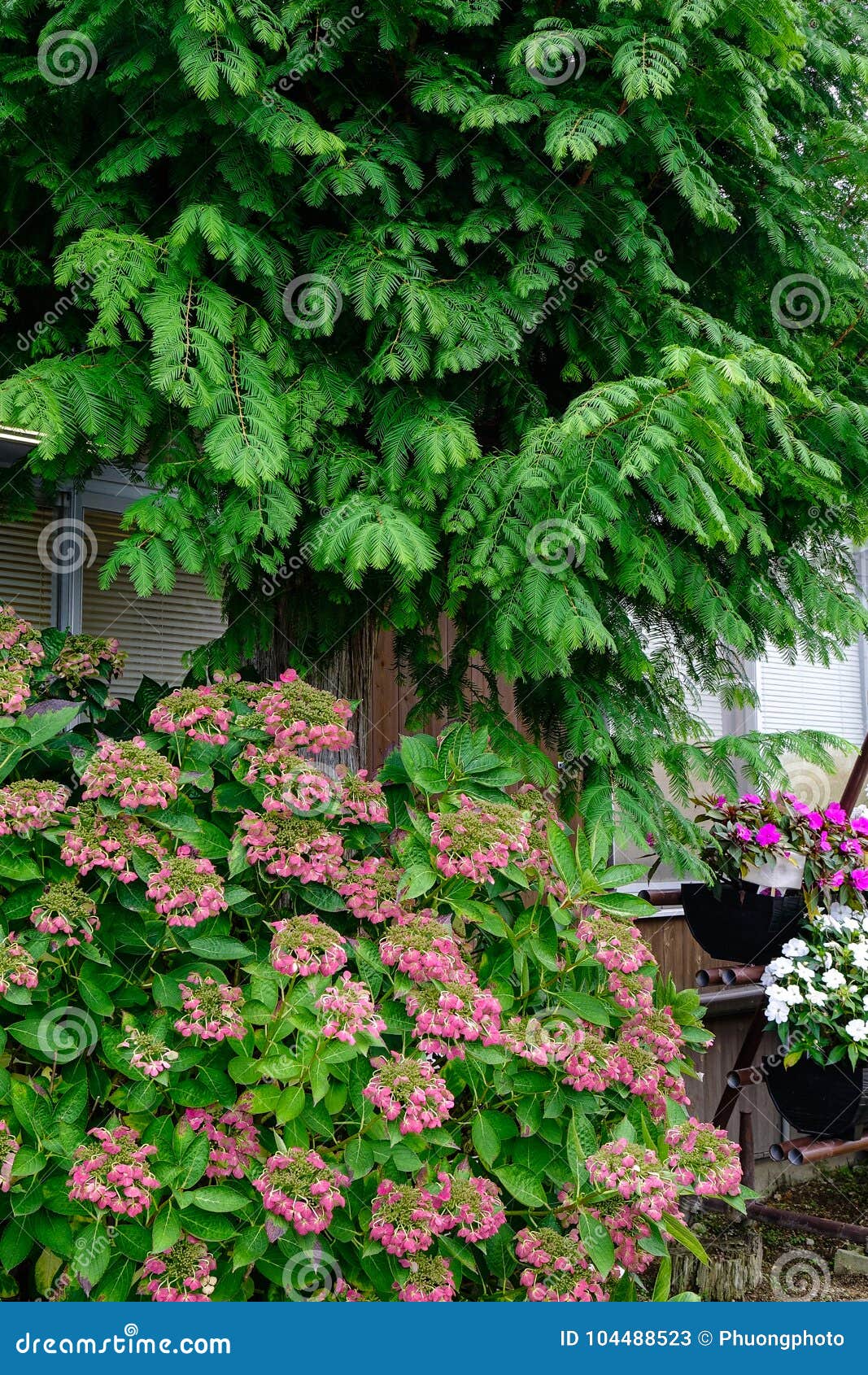 Verwonderend Kleine Japanse tuin stock afbeelding. Afbeelding bestaande uit YW-95