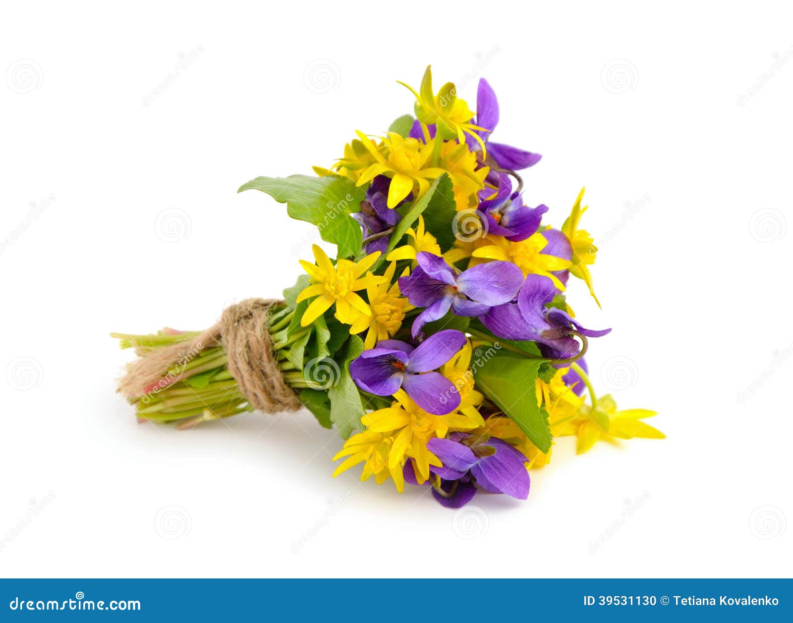 Kleiner Blumenstrauß Mit Wiesenblumen. Stockfoto Bild von feld, frech