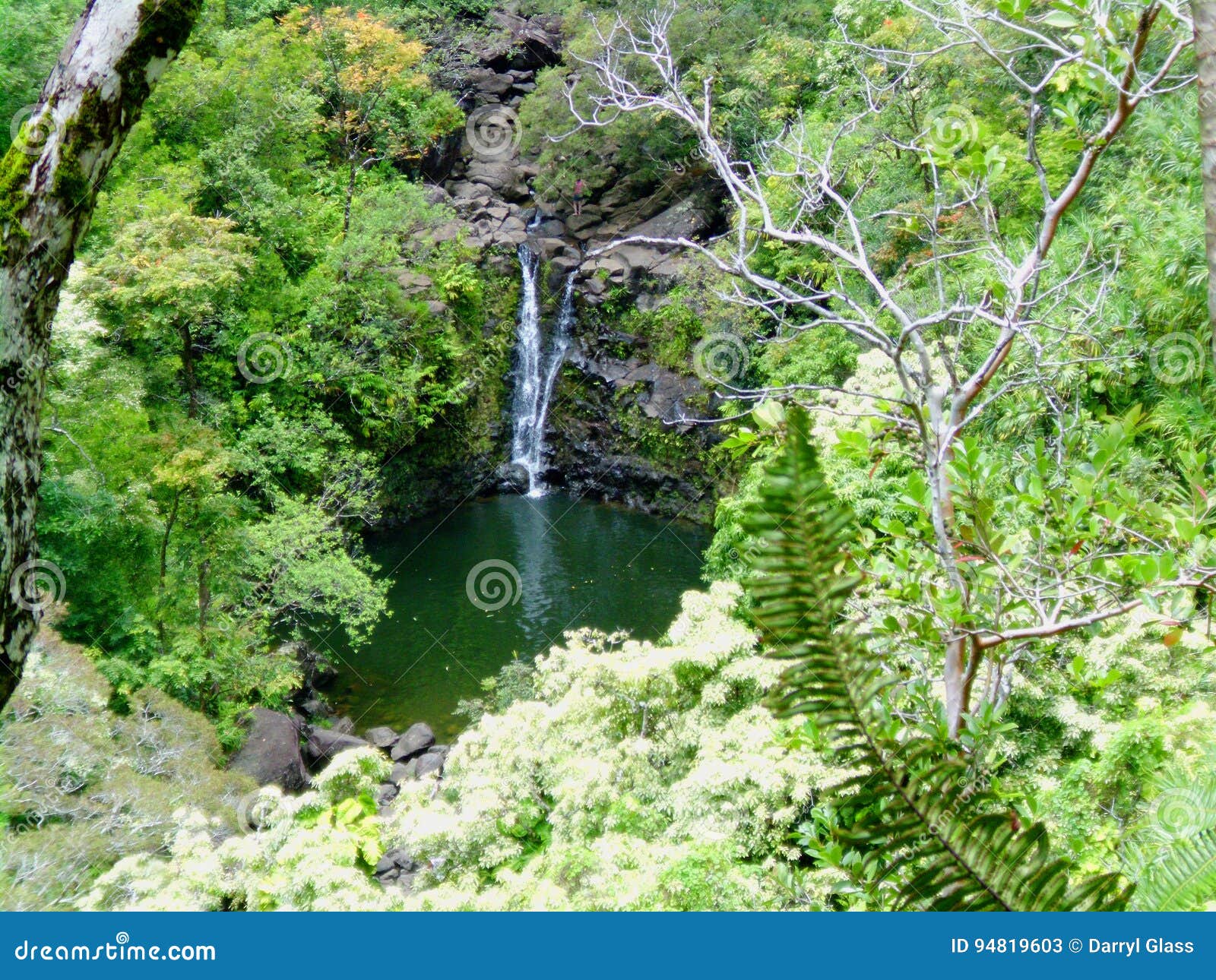 Kleiner Wasserfall In Maui Hawaii Stockbild Bild Von Klein Garten 94819603