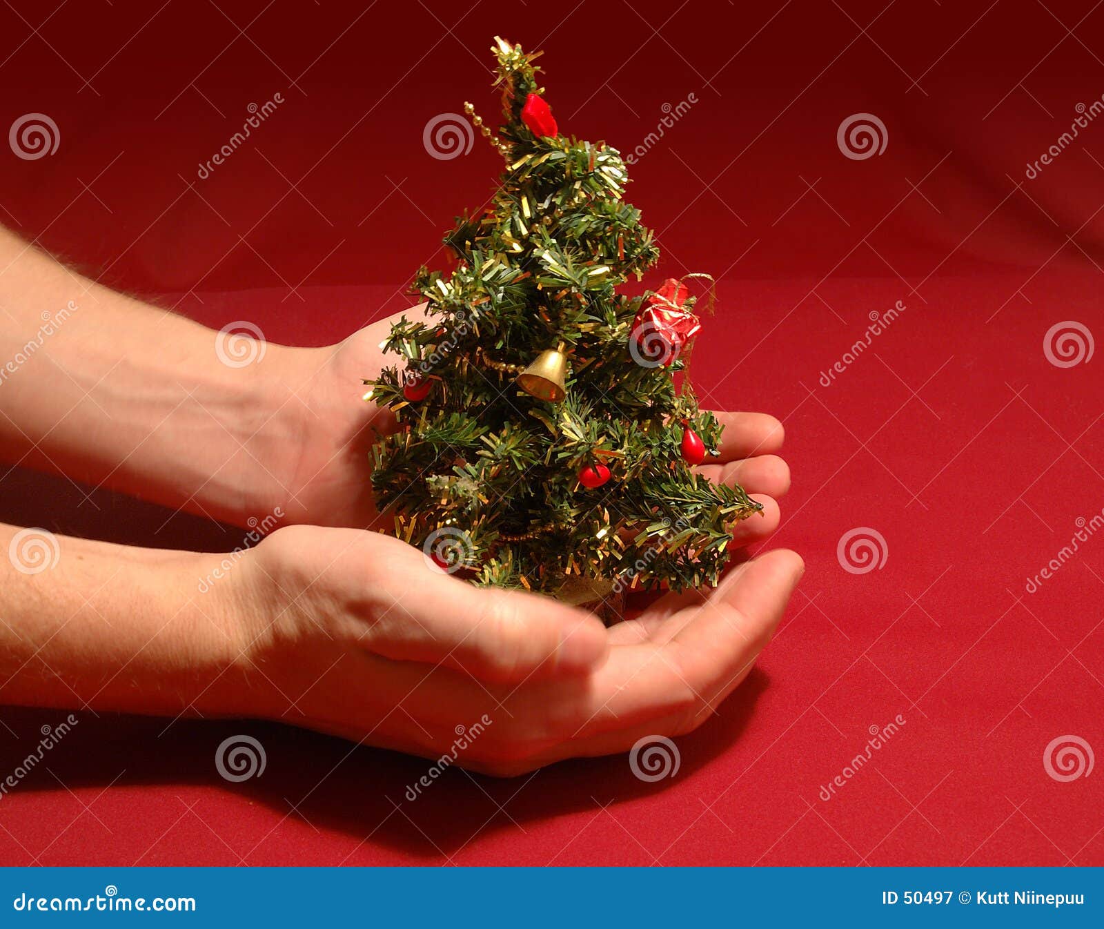 Kleiner Weihnachtsbaum stockbild. Bild von dekoration, umfassen 50497