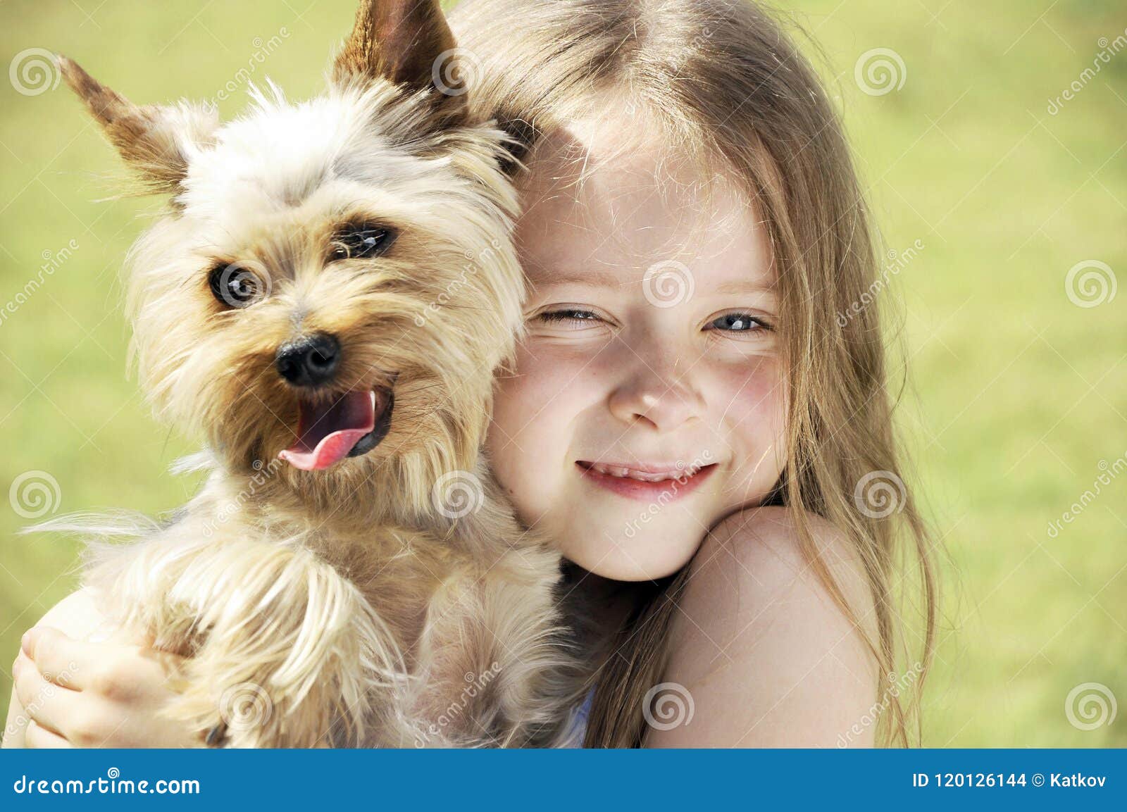 Kleines Madchen Spielt Mit Einem Hund Stockfoto Bild Von Liebling Nett 120126144