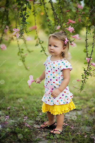Kleines Mädchen im Garten stockbild. Bild von busch, rock 20281557